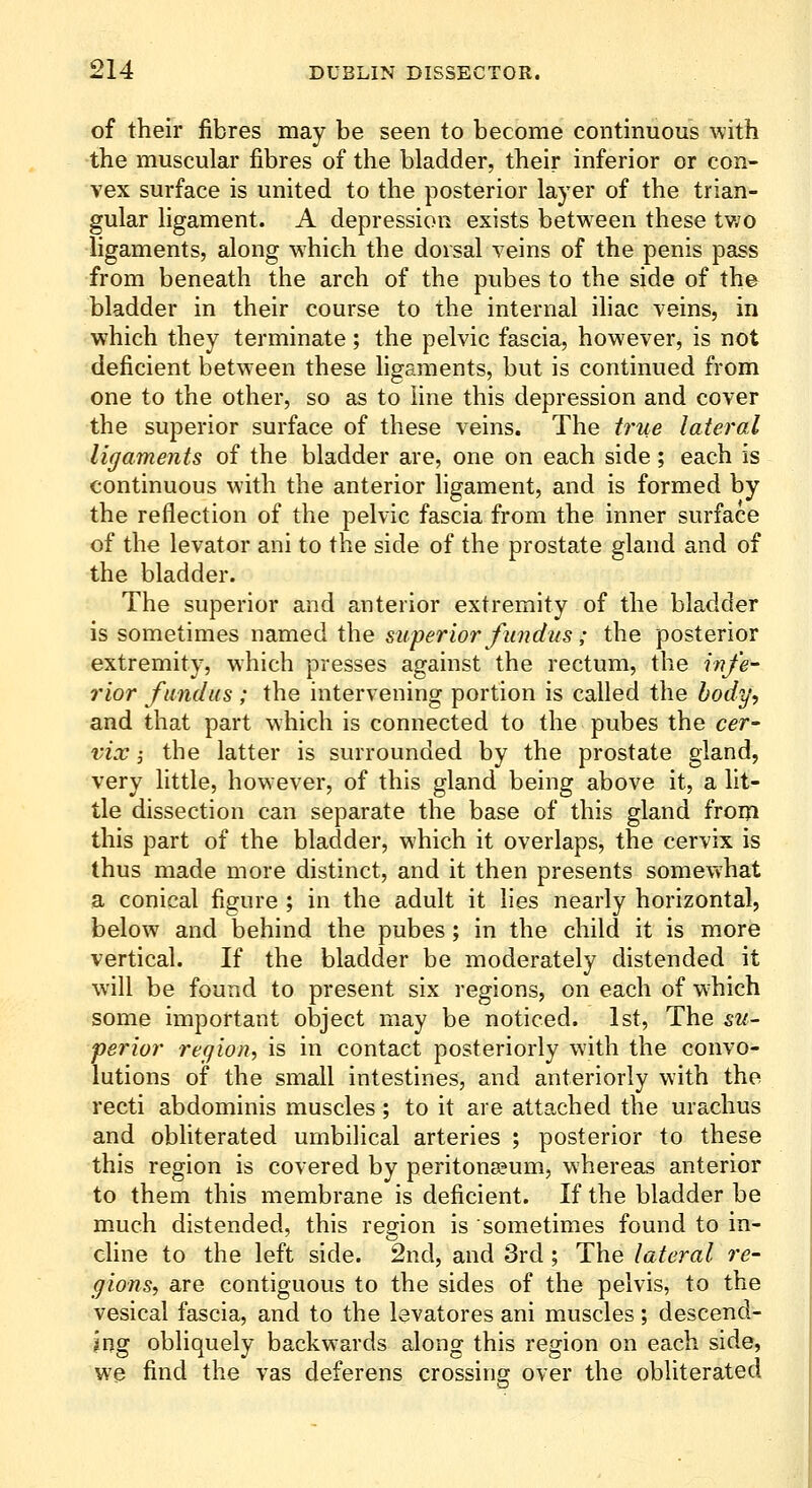 of their fibres may be seen to become continuous with the muscular fibres of the bladder, their inferior or con- vex surface is united to the posterior layer of the trian- gular hgament. A depression exists between these two ligaments, along which the dorsal veins of the penis pass from beneath the arch of the pubes to the side of the bladder in their course to the internal iliac veins, in which they terminate; the pelvic fascia, however, is not deficient between these hgaments, but is continued from one to the other, so as to line this depression and cover the superior surface of these veins. The true lateral ligaments of the bladder are, one on each side; each is continuous with the anterior ligament, and is formed by the reflection of the pelvic fascia from the inner surface of the levator ani to the side of the prostate gland and of the bladder. The superior and anterior extremity of the bladder is sometimes named the superior fundus; the posterior extremity, which presses against the rectum, the infe- rior fundus; the intervening portion is called the body'', and that part which is connected to the pubes the cer- vix; the latter is surrounded by the prostate gland, very little, however, of this gland being above it, a lit- tle dissection can separate the base of this gland from this part of the bladder, which it overlaps, the cervix is thus made more distinct, and it then presents somewhat a conical figure ; in the adult it lies nearly horizontal, below and behind the pubes; in the child it is more vertical. If the bladder be moderately distended it will be found to present six regions, on each of which some important object may be noticed. 1st, The £W- perior region, is in contact posteriorly with the convo- lutions of the small intestines, and anteriorly with the recti abdominis muscles; to it are attached the urachus and obliterated umbilical arteries ; posterior to these this region is covered by peritona?um, whereas anterior to them this membrane is deficient. If the bladder be much distended, this region is sometimes found to in- cline to the left side. 2nd, and 3rd ; The lateral re- gions, are contiguous to the sides of the pelvis, to the vesical fascia, and to the levatores ani muscles; descend- Ing obliquely backwards along this region on each side, we find the vas deferens crossing over the obliterated