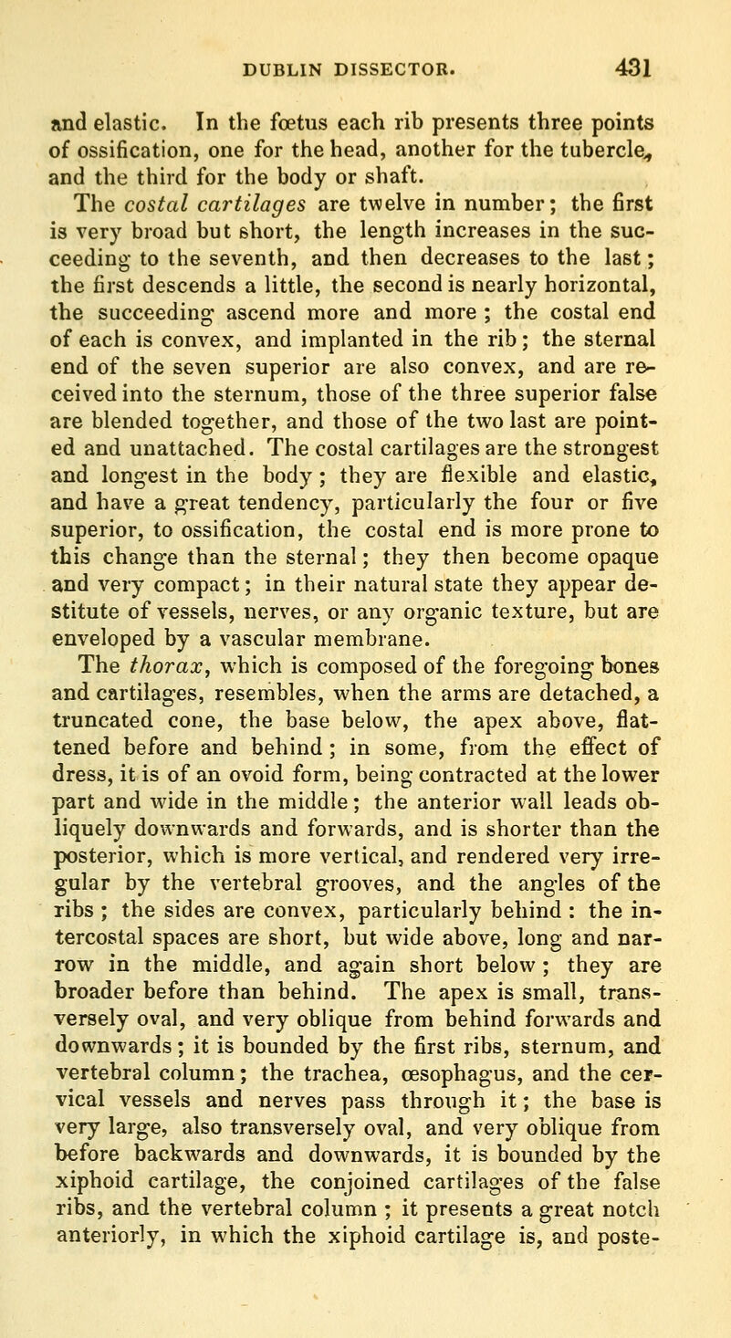 and elastic. In the foetus each rib presents three points of ossification, one for the head, another for the tubercle^ and the third for the body or shaft. The costal cartilages are twelve in number; the first is very broad but short, the length increases in the suc- ceeding to the seventh, and then decreases to the last; the first descends a little, the second is nearly horizontal, the succeeding ascend more and more ; the costal end of each is convex, and implanted in the rib; the sternal end of the seven superior are also convex, and are re- ceived into the sternum, those of the three superior false are blended together, and those of the two last are point- ed and unattached. The costal cartilages are the strongest and longest in the body ; they are flexible and elastic, and have a great tendency, particularly the four or five superior, to ossification, the costal end is more prone to this change than the sternal; they then become opaque . and very compact; in their natural state they appear de- stitute of vessels, nerves, or any org-anic texture, but are enveloped by a vascular membrane. The thorax, which is composed of the foregoing bones and cartilages, resembles, when the arms are detached, a truncated cone, the base below, the apex above, flat- tened before and behind ; in some, from the effect of dress, it is of an ovoid form, being contracted at the lower part and wide in the middle; the anterior wall leads ob- liquely downwards and forwards, and is shorter than the posterior, which is more vertical, and rendered very irre- gular by the vertebral grooves, and the angles of the ribs ; the sides are convex, particularly behind : the in- tercostal spaces are short, but wide above, long and nar- row in the middle, and again short below ; they are broader before than behind. The apex is small, trans- versely oval, and very oblique from behind forwards and downwards; it is bounded by the first ribs, sternum, and vertebral column; the trachea, oesophagus, and the cer- vical vessels and nerves pass through it; the base is very large, also transversely oval, and very oblique from before backwards and downwards, it is bounded by the xiphoid cartilage, the conjoined cartilages of the false ribs, and the vertebral column ; it presents a great notch anteriorly, in which the xiphoid cartilage is, and poste-