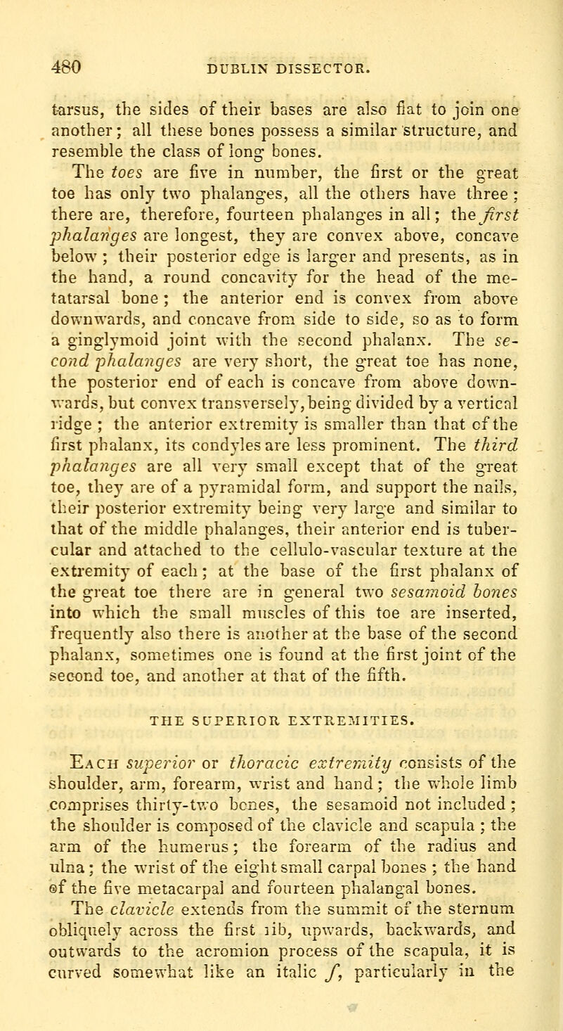 tarsus, the sides of their bases are also fiat to join one another; all these bones possess a similar structure, and resemble the class of Ions: bones. The toes are five in number, the first or the great toe has only two phalang-es, all the others have three ; there are, therefore, fourteen phalanges in all; the first phalariges are longest, they are convex above, concave below ; their posterior edge is larger and presents, as in the hand, a round concavity for the head of the me- tatarsal bone ; the anterior end is convex from above downwards, and concave from side to side, so as to form a ginglymoid joint with the second phalanx. The se- cond phalanges are very short, the great toe has none, the posterior end of each is concave from above down- wards, but convex transversely, being divided by a vertical ridge ; the anterior extremity is smaller than that of the first phalanx, its condyles are less prominent. The third phalajiges are all very small except that of the great toe, they are of a pyramidal form, and support the nails, their posterior extremity being very large and similar to that of the middle phalanges, their anterior end is tuber- cular and attached to the cellulo-vascular texture at the extremity of each; at the base of the first phalanx of the great toe there are in general two sesamoid bones into which the small muscles of this toe are inserted, frequently also there is another at the base of the second phalanx, sometimes one is found at the first joint of the second toe, and another at that of the fifth. THE SUPERIOR EXTREMITIES. Y.ACU superior ov thoracic extremiti/consists of ih.Q shoulder, arm, forearm, wrist and hand; the vrhole limb comprises thirty-tv.o bones, the sesamoid not included ; the shoulder is composed of the clavicle and scapula ; the arm of the humerus; the forearm of the radius and ulna; the wrist of the eight small carpal bones ; the hand ®f the five metacarpal and fourteen phalangal bones. The clavicle extends from the summit of the sternum obliquely across the first rib, upwards, backvv'ards, and outwards to the acromion process of the scapula, it is curved somewhat like an italic f, particularly in the