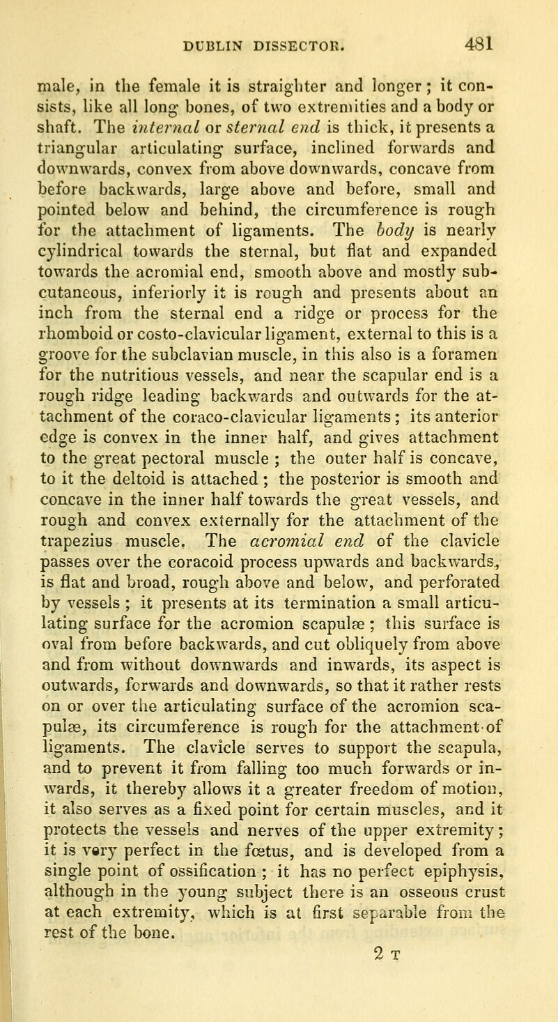 male, in the female it is straigliter and longer; it con- sists, like all long- bones, of two extrenuties and a body or shaft. The internal or sternal end is thick, it presents a triangular articulating surface, inclined forwards and downwards, convex from above downwards, concave from before backwards, large above and before, small and pointed below and behind, the circumference is rough for the attachment of ligaments. The bod]/ is nearly- cylindrical towards the sternal, but flat and expanded tow'ards the acromial end, smooth above and mostly sub- cutaneous, inferiorly it is rough and presents about an inch from the sternal end a ridge or process for the rhomboid or costo-clavicular ligament, external to this is a groove for the subclavian muscle, in this also is a foramen for the nutritious vessels, and near the scapular end is a rough ridge leading backwards and outwards for the at- tachment of the coraco-clavicular ligaments ; its anterior edge is convex in the inner half, and gives attachment to the great pectoral muscle ; the outer half is concave, to it the deltoid is attached; the posterior is smooth and concave in the inner half towards the g-reat vessels, and rough and convex externally for the attachment of the trapezius muscle, The acromial end of the clavicle passes over the coracoid process upwards and backwards^ is flat and broad, rough above and below, and perforated by vessels ; it presents at its termination a small articu- lating surface for the acromion scapulae ; this surface is oval from before backwards, and cut obliquely from above and from without downwards and inw^ards, its aspect is outwards, forwards and downwards, so that it rather rests on or over the articulating surface of the acromion sca- pulas, its circumference is rough for the attachment-of ligaments. The clavicle serves to support the scapula, and to prevent it from falling too m-uch forwards or in- wards, it thereby allow^s it a greater freedom of motion, it also serves as a fixed point for certain muscles, and it protects the vessels and nerves of the upper extremity; it is very perfect in the fcstus, and is developed from a single point of ossification ; it has no perfect epiphysis, although in the young subject there is an osseous crust at each extremity, which is at first separable from the rest of the bone. 2 T