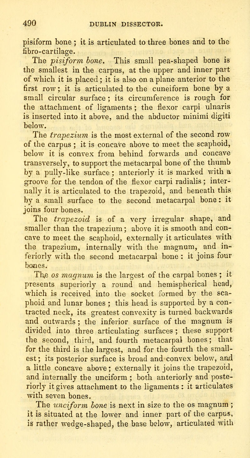 pisiform bone ; it is articulated to three bones and to the fibro-cartilage. The pisiform bone. This small pea-shaped bone is the smallest in the carpus, at the upper and inner part of which it is placed; it is also on a plane anterior to the first row; it is articulated to the cuneiform bone by a small circular surface ; its circumference is rough for the attachment of ligaments; the flexor carpi ulnaris is inserted into it above, and the abductor minimi digiti below. The trapezium is the most external of the second row of the carpus ; it is concave above to meet the scaphoid, below it is convex from behind forwards and concave transversely, to support the metacarpal bone of the thumb by a pully-like surface; anteriorly it is marked with a groove for the tendon of the flexor carpi radialis; inter- nally it is articulated to the trapezoid, and beneath this by a small surface to the second metacarpal bone: it joins four bones. The trapezoid is of a very irregular shape, and smaller than the trapezium; above it is smooth and con- cave to meet the scaphoid, externally it articulates with the trapezium, internally with the magnum, and in- feriorly with the second metacarpal bone : it joins four bones. Thje OS magnum is the largest of the carpal bones ; it presents superiorly a round and hemispherical head, which is received into the socket formed by the sca- phoid and lunar bones ; this head is supported by a con- tracted neck, its greatest convexity is turned backwards and outwards ; the inferior surface of the magnum is divided into three articulating surfaces ; these support the second, third, and fourth metacarpal bones; that for the third is the largest, and for the fourth the small- est ; its posterior surface is broad and convex below, and a little concave above; externally it joins the trapezoid, and internally the unciform ; both anteriorly and poste- riorly it gives attachment to the ligaments : it articulates with seven bones. The unciform hone is next in size to the os magnum ; it is situated at the loxver and inner part of the carpus, is rather wedge-shaped, the base below, articulated with