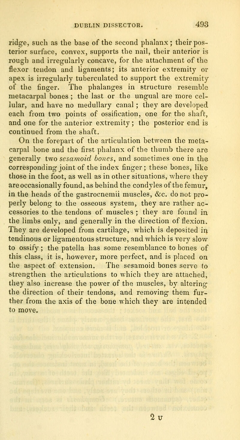 ridge, such as the base of the second phalanx; their pos- terior surface, convex, supports the nail, their anterior is rough and irregularly concave, for the attachment of the flexor tendon and Ugaments; its anterior extremity or apex is irregularly tuberculated to support the extremity of the finger. The phalanges in structure resemble metacarpal bones ; the last or the ungual are more cel- lular, and have no medullary canal; they are developed each from two points of ossification, one for the shaft, and one for the anterior extremity; the posterior end is continued from the shaft. On the forepart of the articulation between the meta- carpal bone and the first phalanx of the thumb there are generally two sesamoid bones, and sometimes one in the corresponding joint of the index finger ; these bones, like those in the foot, as well as in other situations, where ihey are occasionally found, as behind the condyles of the femur, in the heads of the gastrocnemii muscles, &c. do not pro- perly belong to the osseous system, they are rather ac- cessories to the tendons of muscles ; they are found in the limbs only, and generally in the direction of flexion. They are developed from cartilage, which is deposited in tendinous or ligamentous structure, and which is very slow to ossify; the patella has some resemblance to bones of this class, it is, however, more perfect, and is placed on the aspect of extension. The sesamoid bones serve to strengthen the articulations to which they are attached, they also increase the power of the muscles, by altering the direction of their tendons, and removing them fur- ther from the axis of the bone which they are intended to move. Sir