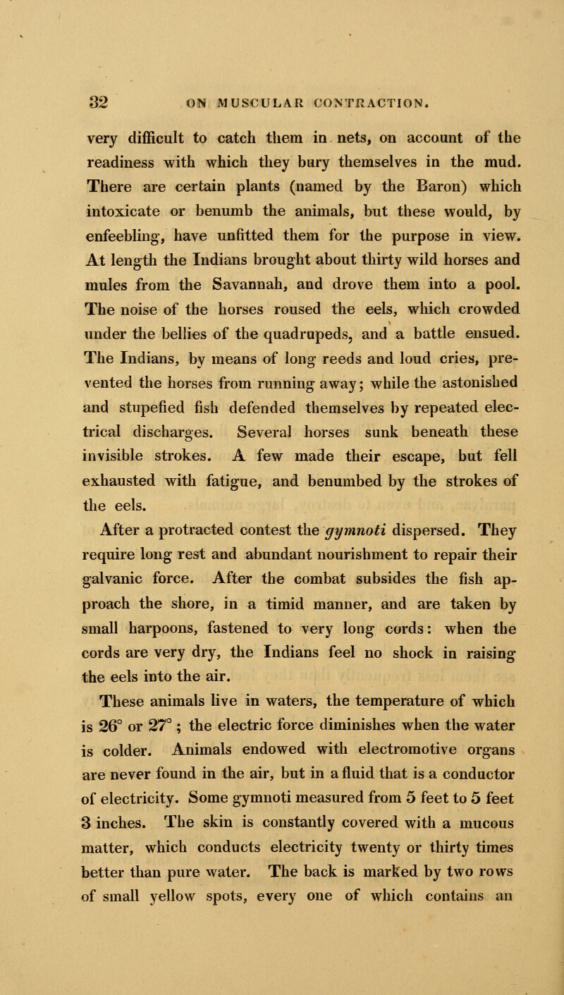 very difficult to catch them in nets, on account of the readiness with which they bury themselves in the mud. There are certain plants (named by the Baron) which intoxicate or benumb the animals, but these would, by enfeebling, have unfitted them for the purpose in view. At length the Indians brought about thirty wild horses and mules from the Savannah, and drove them into a pool. The noise of the horses roused the eels, which crowded under the bellies of the quadrupeds, and a battle ensued. The Indians, by means of long reeds and loud cries, pre- vented the horses from running away; while the astonished and stupefied fish defended themselves by repeated elec- trical discharges. Several horses sunk beneath these invisible strokes. A few made their escape, but fell exhausted with fatigue, and benumbed by the strokes of the eels. After a protracted contest the gymnoti dispersed. They require long rest and abundant nourishment to repair their galvanic force. After the combat subsides the fish ap- proach the shore, in a timid manner, and are taken by small harpoons, fastened to very long cords: when the cords are very dry, the Indians feel no shock in raising the eels into the air. These animals live in waters, the temperature of which is 26° or 27°; the electric force diminishes when the water is colder. Animals endowed with electromotive organs are never found in the air, but in a fluid that is a conductor of electricity. Some gymnoti measured from 5 feet to 5 feet 3 inches. The skin is constantly covered with a mucous matter, which conducts electricity twenty or thirty times better than pure water. The back is marked by two rows of small yellow spots, every one of which contains an