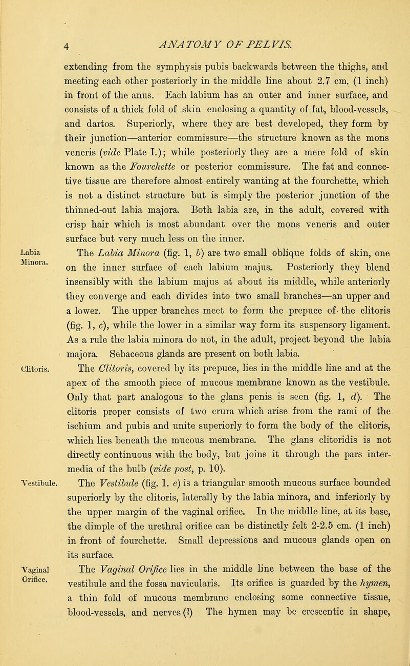 Labia Minora. Clitoris. Vestibule. Vaginal Orifice. extending from the symphysis puhis backwards between the thighs, and meeting each other posteriorly in the middle line about 2.7 cm. (1 inch) in front of the anus. Each labium has an outer and inner surface, and consists of a thick fold of skin enclosing a quantity of fat, blood-vessels, and dartos. Superiorly, where they are best developed, they form by their junction—anterior commissure—the structure known as the mons veneris (vide Plate I.); while posteriorly they are a mere fold of skin known as the Fourdiette or posterior commissure. The fat and connec- tive tissue are therefore almost entirely wanting at the fourchette, which is not a distinct structure but is simply the posterior junction of the thinned-out labia majora. Both labia are, in the adult, covered with crisp hair which is most abundant over the mons veneris and outer surface but very much less on the inner. The Labia Minora (fig. 1, b) are two small oblique folds of skin, one on the inner surface of each labium majus. Posteriorly they blend insensibly with the labium majus at about its middle, while anteriorly they converge and each divides into two small branches—an upper and a lower. The upper branches meet to form the prepuce of. the clitoris (fig. 1, c), while the lower in a similar way form its suspensory ligament. As a rule the labia minora do not, in the adult, project beyond the labia majora. Sebaceous glands are present on both labia. The Clitoris, covered by its prepuce, lies in the middle line and at the apex of the smooth piece of mucous membrane known as the vestibule. Only that part analogous to the glans penis is seen (fig. 1, d). The clitoris proper consists of two crura which arise from the rami of the ischium and pubis and unite superiorly to form the body of the clitoris, which lies beneath the mucous membrane. The glans clitoridis is not directly continuous with the body, but joins it through the pars inter- media of the bulb (vide -post, p. 10). The Vestibule (fig. 1. e) is a triangular smooth mucous surface bounded superiorly by the clitoris, laterally by the labia minora, and inferiorly by the upper margin of the vaginal orifice. In the middle line, at its base, the dimple of the urethral orifice can be distinctly felt 2-2.5 cm. (1 inch) in front of fourchette. Small depressions and mucous glands open on its surface. The Vaginal Orifice lies in the middle line between the base of the vestibule and the fossa navicularis. Its orifice is guarded by the hymen, a thin fold of mucous membrane enclosing some connective tissue, blood-vessels, and nerves (?) The hymen may be crescentic in shape,
