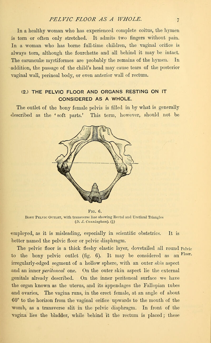 In a healthy woman who has experienced complete coitus, the hymen is torn or often only stretched. It admits two fingers without pain. In a woman who has borne full-time children, the vaginal orifice is always torn, although the fourchette and all behind it may be intact. The carunculee myrtiformes are probably the remains of the hymen. In addition, the passage of the child's head may cause tears of the posterior vaginal wall, perineal body, or even anterior wall of rectum. (2.) THE PELVIC FLOOR AND ORGANS RESTING ON IT CONSIDERED AS A WHOLE. The outlet of the bony female pelvis is filled in by what is generally described as the ' soft parts.' This term, however, should not be Fig. 6. Bony Pelvic Outlet, with transverse line showing Rectal and Urethral Triangles (D. J. Cunningham). (J) employed, as it is misleading, especially in scientific obstetrics. It is better named the pelvic floor or pelvic diaphragm. The pelvic floor is a thick fleshy elastic layer, dovetailed all round Pelvic to the bony pelvic outlet (fig. 6). It may be considered as anFloor> irregularly-edged segment of a hollow sphere, with an outer skin aspect ■and an inner peritoneal one. On the outer skin aspect lie the external genitals already described. On the inner peritoneal surface we have the organ known as the uterus, and its appendages the Fallopian tubes and ovaries. The vagina runs, in the erect female, at an angle of about €0° to the horizon from the vaginal orifice upwards to the mouth of the womb, as a transverse slit in the pelvic diaphragm. In front of the vagina lies the bladder, while behind it the rectum is placed; these