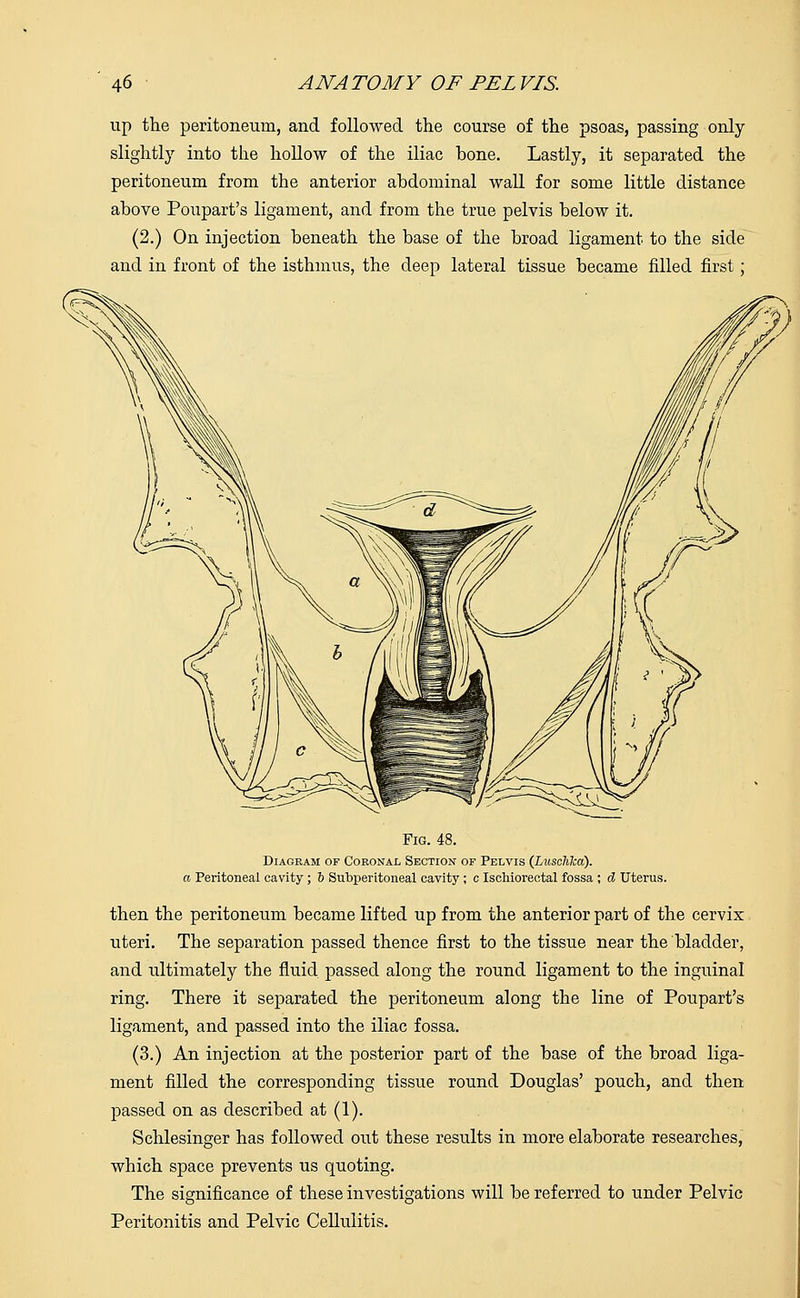 up the peritoneum, and followed the course of the psoas, passing only slightly into the hollow of the iliac bone. Lastly, it separated the peritoneum from the anterior abdominal wall for some little distance above Poupart's ligament, and from the true pelvis below it. (2.) On injection beneath the base of the broad ligament to the side and in front of the isthmus, the deep lateral tissue became filled first; Fig. 48. Diagram of Coronal Section of Pelvis (Lusclikd). a Peritoneal cavity ; b Subperitoneal cavity ; c Ischiorectal fossa ; d Uterus. then the peritoneum became lifted up from the anterior part of the cervix uteri. The separation passed thence first to the tissue near the bladder, and ultimately the fluid passed along the round ligament to the inguinal ring. There it separated the peritoneum along the line of Poupart's ligament, and passed into the iliac fossa. (3.) An injection at the posterior part of the base of the broad liga- ment filled the corresponding tissue round Douglas' pouch, and then passed on as described at (1). Schlesinger has followed out these results in more elaborate researches, which space prevents us quoting. The significance of these investigations will be referred to under Pelvic Peritonitis and Pelvic Cellulitis.