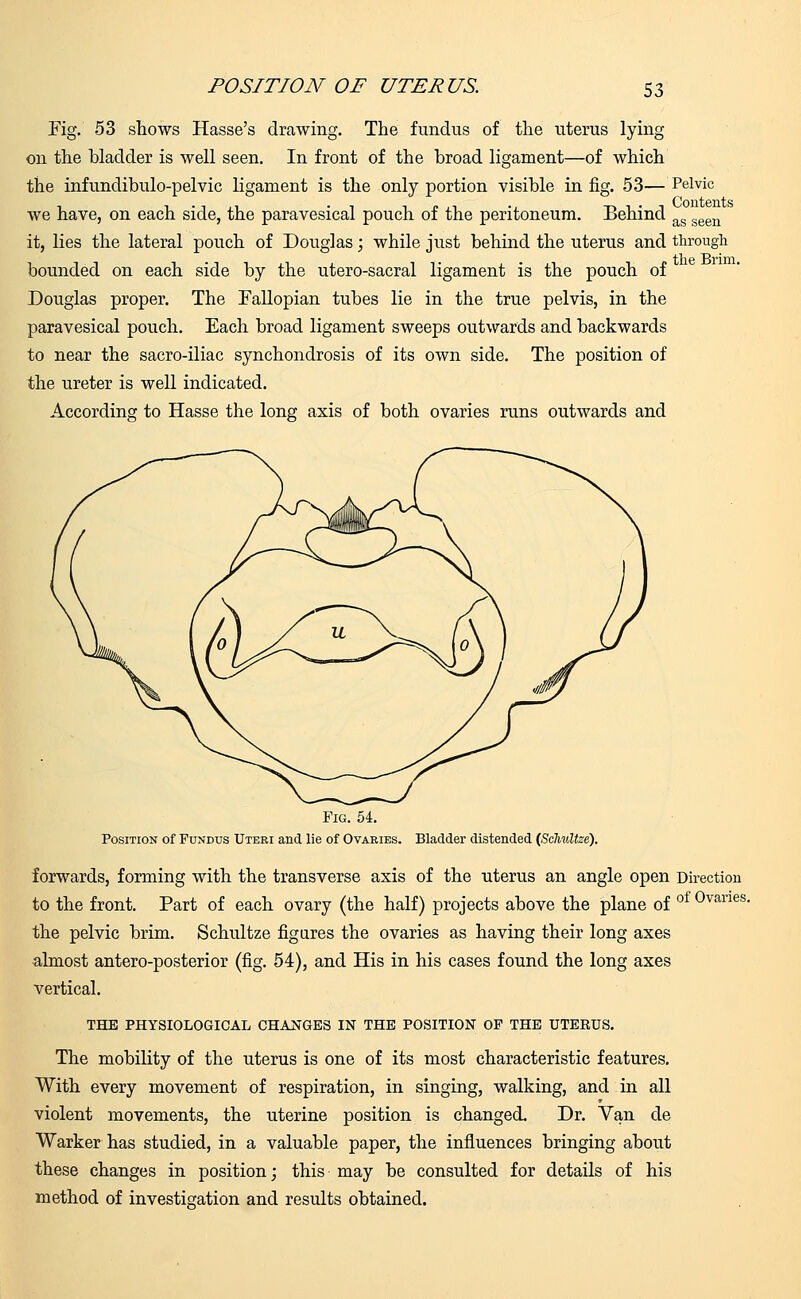 Fig. 53 shows Hasse's drawing. The fundus of the uterus lying on the bladder is well seen. In front of the broad ligament—of which the infundibulo-pelvic ligament is the only portion visible in fig. 53—Pelvic we have, on each side, the paravesical pouch of the peritoneum. Behind ag seen it, lies the lateral pouch of Douglas; while just behind the uterus and through bounded on each side by the utero-sacral ligament is the pouch of Douglas proper. The Fallopian tubes lie in the true pelvis, in the paravesical pouch. Each broad ligament sweeps outwards and backwards to near the sacro-iliac synchondrosis of its own side. The position of the ureter is well indicated. According to Hasse the long axis of both ovaries runs outwards and Fig. 54. Position of Fundus Uteri and lie of Ovaries. Bladder distended (Sclmltze). forwards, forming with the transverse axis of the uterus an angle open Direction to the front. Part of each ovary (the half) projects above the plane of 0vanes- the pelvic brim. Schultze figures the ovaries as having their long axes almost antero-posterior (fig. 54), and His in his cases found the long axes vertical. THE PHYSIOLOGICAL CHANGES IN THE POSITION OF THE UTERUS. The mobility of the uterus is one of its most characteristic features. With every movement of respiration, in singing, walking, and in all violent movements, the uterine position is changed. Dr. Van de Warker has studied, in a valuable paper, the influences bringing about these changes in position; this may be consulted for details of his method of investigation and results obtained.