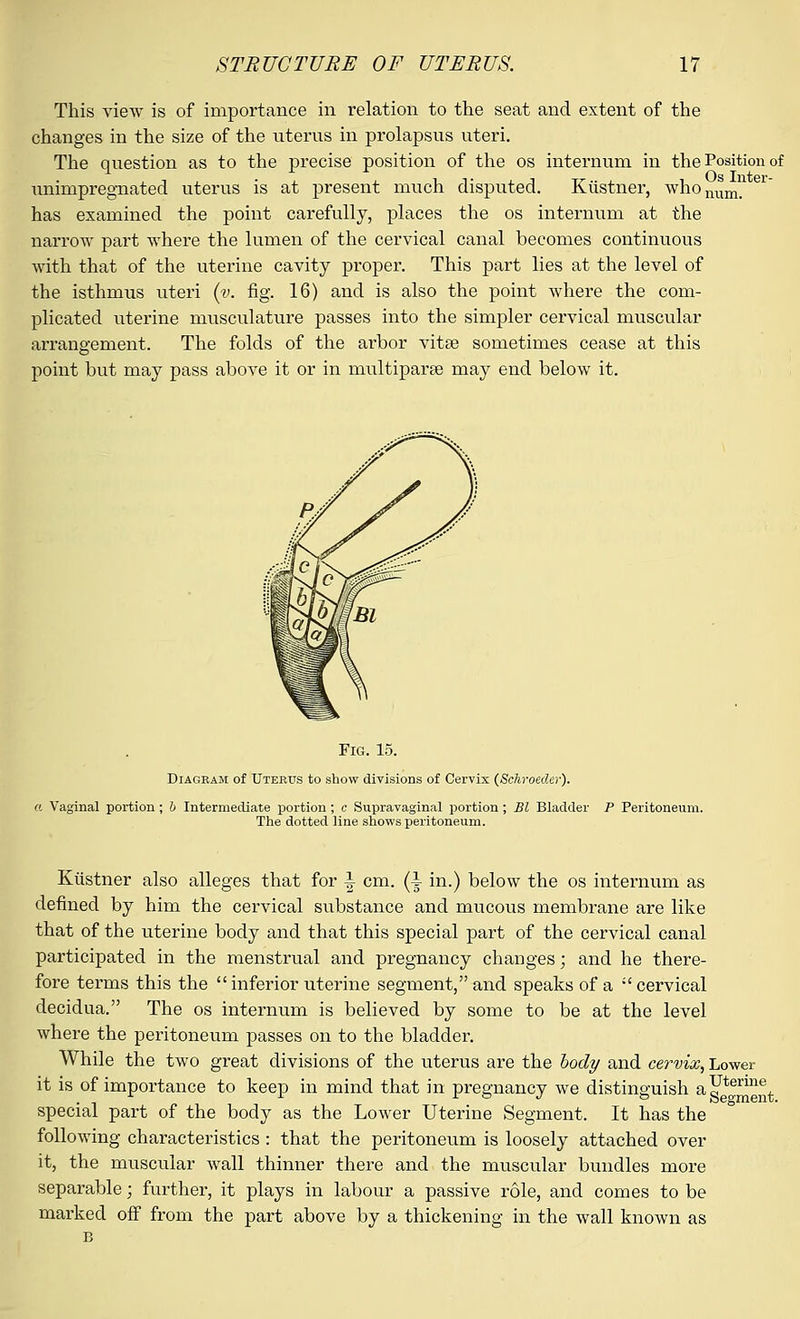 This view is of importance in relation to the seat and extent of the changes in the size of the uterus in prolapsus uteri. The question as to the precise position of the os internum in the Position of unimpregnated uterus is at present much disputed. Kiistner, whonum_ has examined the point carefully, places the os internum at the narrow part where the lumen of the cervical canal becomes continuous with that of the uterine cavity proper. This part lies at the level of the isthmus uteri (v. fig. 16) and is also the point where the com- plicated uterine musculature passes into the simpler cervical muscular arrangement. The folds of the arbor vitse sometimes cease at this point but may pass above it or in multiparae may end below it. Fig. 15. Diagram of Uterus to show divisions of Cervix (Schroeder). a Vaginal portion ; b Intermediate portion ; e Supravaginal portion ; Bl Bladder P Peritoneum. The dotted line shows peritoneum. Kiistner also alleges that for i- cm. (i in.) below the os internum as defined by him the cervical substance and mucous membrane are like that of the uterine body and that this special part of the cervical canal participated in the menstrual and pregnancy changes; and he there- fore terms this the inferior uterine segment, and speaks of a ''cervical decidua. The os internum is believed by some to be at the level where the peritoneum passes on to the bladder. While the two great divisions of the uterus are the body and cervix, Lower- it is of importance to keep in mind that in pregnancy we distinguish aF^1™6, special part of the body as the Lower Uterine Segment. It has the following characteristics : that the peritoneum is loosely attached over it, the muscular wall thinner there and the muscular bundles more separable; further, it plays in labour a passive role, and comes to be marked off from the part above by a thickening in the wall known as B