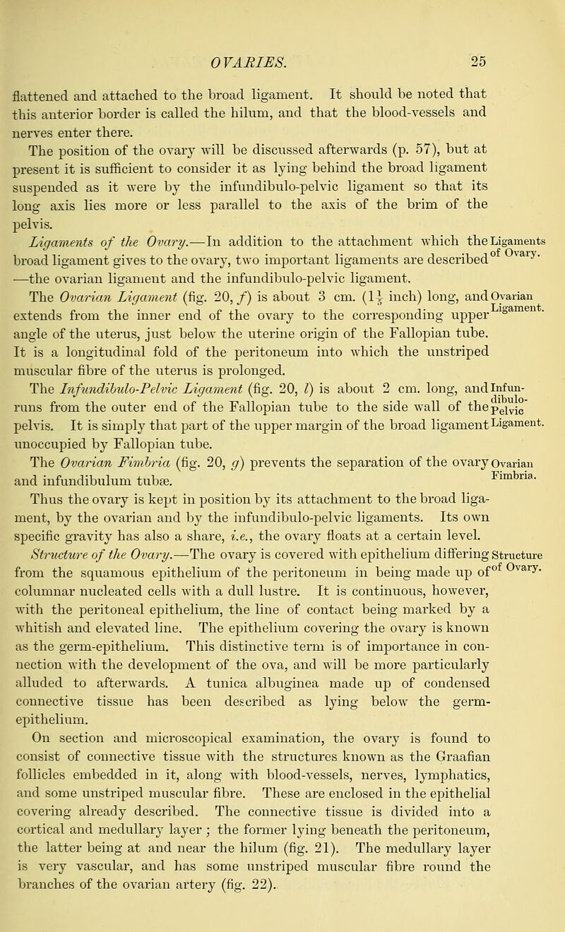 flattened and attached to the broad ligament. It should be noted that this anterior border is called the hilum, and that the blood-vessels and nerves enter there. The position of the ovary will be discussed afterwards (p. 57), but at present it is sufficient to consider it as lying behind the broad ligament suspended as it were by the infundibulo-pelvic ligament so that its long axis lies niore or less parallel to the axis of the brim of the pelvis. Ligaments of the Ovary.—In addition to the attachment which the Ligaments broad ligament gives to the ovary, two important ligaments are described0 vary' —the ovarian ligament and the infundibulo-pelvic ligament. The Ovarian Ligament (fig. 20,/) is about 3 cm. (li inch) long, and Ovarian extends from the inner end of the ovary to the corresponding upper ° angle of the uterus, just below the uterine origin of the Fallopian tube. It is a longitudinal fold of the peritoneum into which the unstriped muscular fibre of the uterus is prolonged. The Infundibulo-Pelvic Ligament (fig. 20, I) is about 2 cm. long, andlnfun- runs from the outer end of the Fallopian tube to the side wall of thepejvic pelvis. It is simply that part of the upper margin of the broad ligament Ligament. unoccupied by Fallopian tube. The Ovarian Fimbria (fig. 20, g) prevents the separation of the ovary Ovarian and infundibulum tubfe. Fimbria. Thus the ovary is kept in position by its attachment to the broad liga- ment, by the ovarian and by the infundibulo-pelvic ligaments. Its own specific gravity has also a share, i.e., the ovary floats at a certain level. Structure of the Ovary.—The ovary is covered with epithelium differing structure from the squamous epithelium of the peritoneum in being made up of0 °vary- columnar nucleated cells with a dull lustre. It is continuous, however, with the peritoneal epithelium, the line of contact being marked by a whitish and elevated line. The epithelium covering the ovary is known as the germ-epithelium. This distinctive term is of importance in con- nection with the development of the ova, and will be more particularly alluded to afterwards. A tunica albuginea made up of condensed connective tissue has been described as lying below the germ- epithelium. On section and microscopical examination, the ovary is found to consist of connective tissue with the structures known as the Graafian follicles embedded in it, along with blood-vessels, nerves, lymphatics, and some unstriped muscular fibre. These are enclosed in the epithelial covering already described. The connective tissue is divided into a cortical and medullary layer ; the former lying beneath the peritoneum, the latter being at and near the hilum (fig. 21). The medullary layer is very vascular, and has some unstriped muscular fibre round the branches of the ovarian artery (fig. 22)..