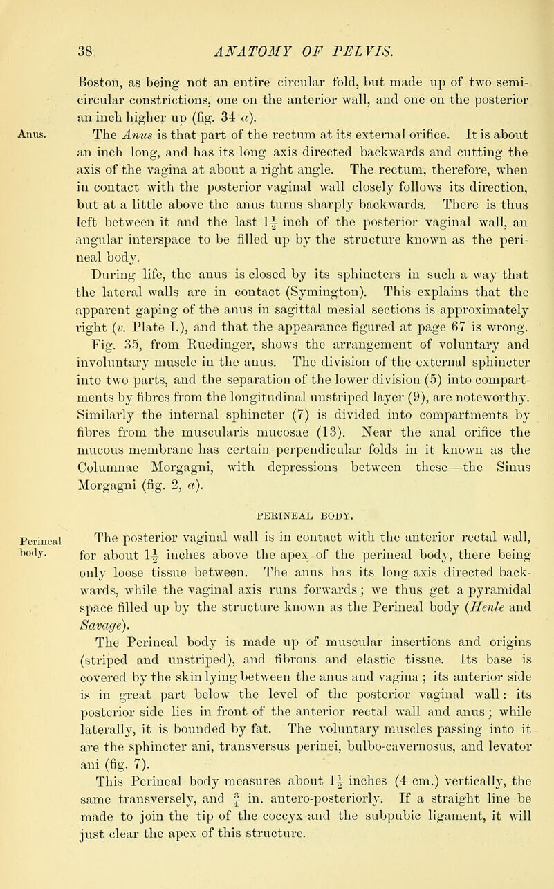 Boston, as being not an entire circular fold, but made up of two semi- circular constrictions, one on the anterior wall, and one on the posterior an inch higher up (fig. 34 a). Anus. The Anus is that part of the rectum at its external orifice. It is about an inch long, and has its long axis directed backwards and cutting the axis of the vagina at about a right angle. The rectum, therefore, when in contact with the posterior vaginal wall closely follows its direction, but at a little above the anus turns sharply backwards. There is thus left between it and the last 1^ inch of the posterior vaginal wall, an angular interspace to be filled up by the structure known as the peri- neal body. During life, the anus is closed by its sphincters in such a way that the lateral walls are in contact (Symington). This explains that the apparent gaping of the anus in sagittal mesial sections is approximately right (v. Plate I.), and that the appearance figured at page 67 is wrong. Fig. 35, from Ruedinger, shows the arrangement of voluntary and involuntary muscle in the anus. The division of the external sphincter into two parts, and the separation of the lower division (5) into compart- ments by fibres from the longitudinal unstriped layer (9), are noteworthy. Similarly the internal sphincter (7) is divided into compartments by fibres from the muscularis mucosae (13). Near the anal orifice the mucous membrane has certain perpendicular folds in it known as the Columnae Morgagni, with depressions between these—the Sinus Morgagni (fig. 2, a). PERINEAL BODY. Perineal The posterior vaginal wall is in contact with the anterior rectal wall, body. for about 1^ inches above the apex of the perineal body, there being only loose tissue between. The anus has its long axis directed back- wards, while the vaginal axis runs forwards; we thus get a pyramidal space filled up by the structure known as the Perineal body {Henle and Savage). The Perineal body is made up of muscular insertions and origins (striped and unstriped), and fibrous and elastic tissue. Its base is covered by the skin lying between the anus and vagina ; its anterior side is in great part below the level of the posterior vaginal wall: its posterior side lies in front of the anterior rectal wall and anus; while laterally, it is bounded by fat. The voluntary muscles passing into it are the sphincter ani, transversus perinei, bulbo-cavernosus, and levator ani (fig. 7). This Perineal body measures about 1^ inches (4 cm.) vertically, the same transversely, and |- in. antero-posteriorly. If a straight line be made to join the tip of the coccyx and the subpubic ligament, it will just clear the apex of this structure.