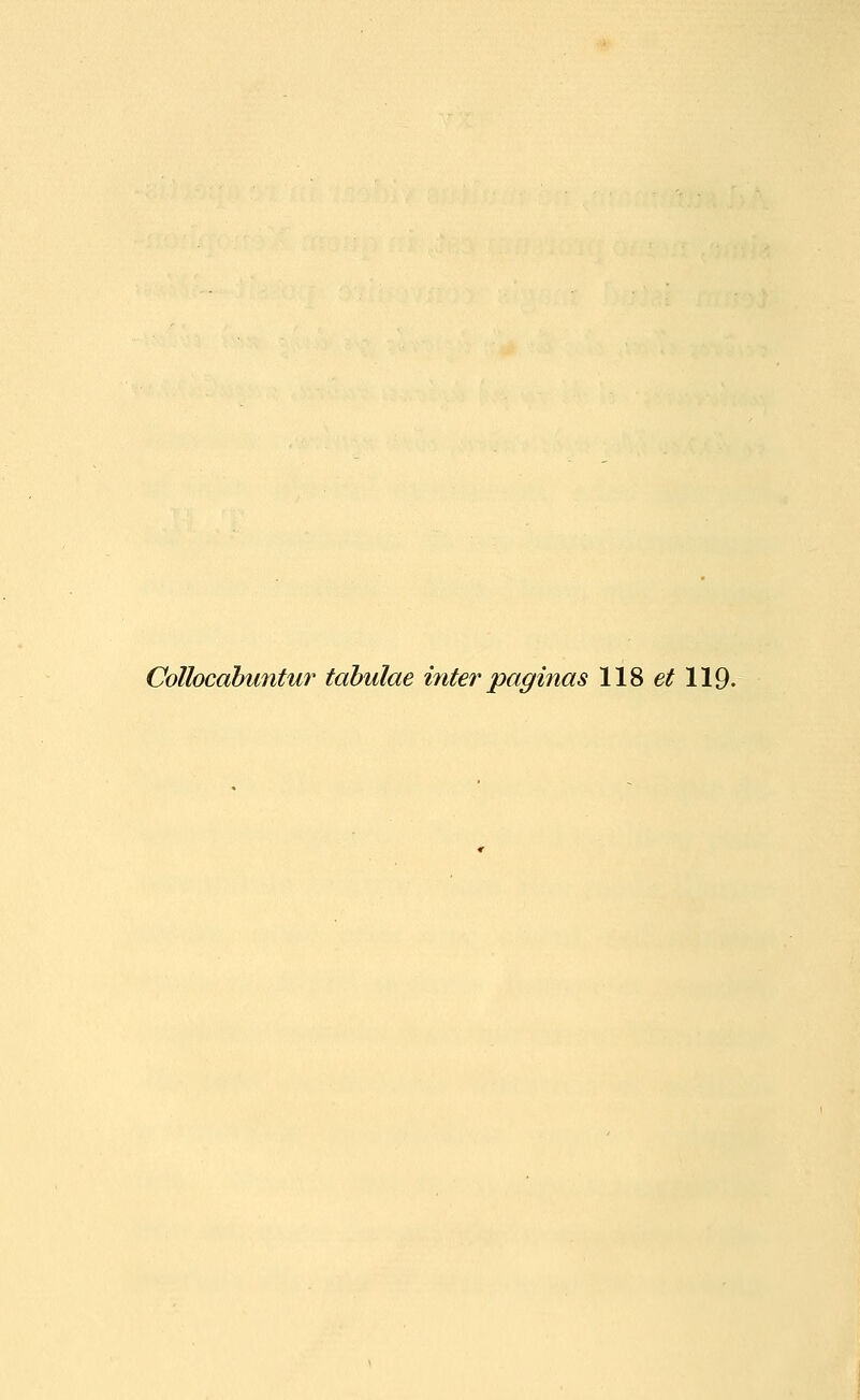 Collocahuntur tahulae inter paginas 118 et 119-