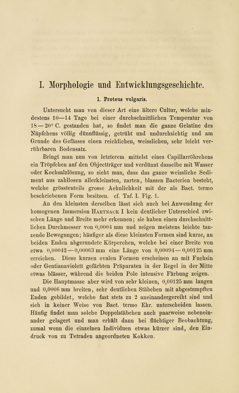 1. Proteus vulgaris. Untersucht man von dieser Art eine ältere Cultur, welche min- destens 10—14 Tage bei einer durchschnittlichen Temperatur von 18 — 200 C. gestanden hat, so findet man die ganze Gelatine des Näpfchens völlig dünnflüssig, getrübt und undurchsichtig und am Grunde des Gefässes einen reichlichen, weisslichen, sehr leicht ver- rührbaren Bodensatz. Bringt man nun von letzterem mittelst eines Capillarröhrchens ein Tröpfchen auf den Objectträger und verdünnt dasselbe mit Wasser oder Kochsalzlösung, so sieht man, dass das ganze weissliche Sedi- ment aus zahllosen allerkleinsten, zarten, blassen Bacterien besteht, welche grösstenteils grosse Aehnlichkeit mit der als Bact. terma beschriebenen Form besitzen, cf. Taf. I. Fig. 1. An den kleinsten derselben lässt sich auch bei Anwendung der homogenen Immersion Haetnack I kein deutlicher Unterschied zwi- schen Länge und Breite mehr erkennen; sie haben einen durchschnitt- lichen Durchmesser von 0,0004 mm und zeigen meistens leichte tan- zende Bewegungen; häufiger als diese kleinsten Formen sind kurze, an beiden Enden abgerundete Körperchen, welche bei einer Breite von etwa 0,00042—0,00063 mm eine Länge von 0,00094 —0,00125 mm erreichen. Diese kurzen ovalen Formen erscheinen an mit Fuchsin oder Gentianaviolett gefärbten Präparaten in der Kegel in der Mitte etwas blässer, während die beiden Pole intensive Färbung zeigen. Die Hauptmasse aber wird von sehr kleinen, 0,00125 mm langen und 0,0006 mm breiten, sehr deutlichen Stäbchen mit abgestumpften Enden gebildet, welche fast stets zu 2 aneinandergereiht sind und sich in keiner Weise von Bact. termo Ehr. unterscheiden lassen. Häufig findet man solche Doppelstäbchen auch paarweise nebenein- ander gelagert und man erhält dann bei flüchtiger Beobachtung, zumal wenn die einzelnen Individuen etwas kürzer sind, den Ein- druck von zu Tetraden angeordneten Kokken.