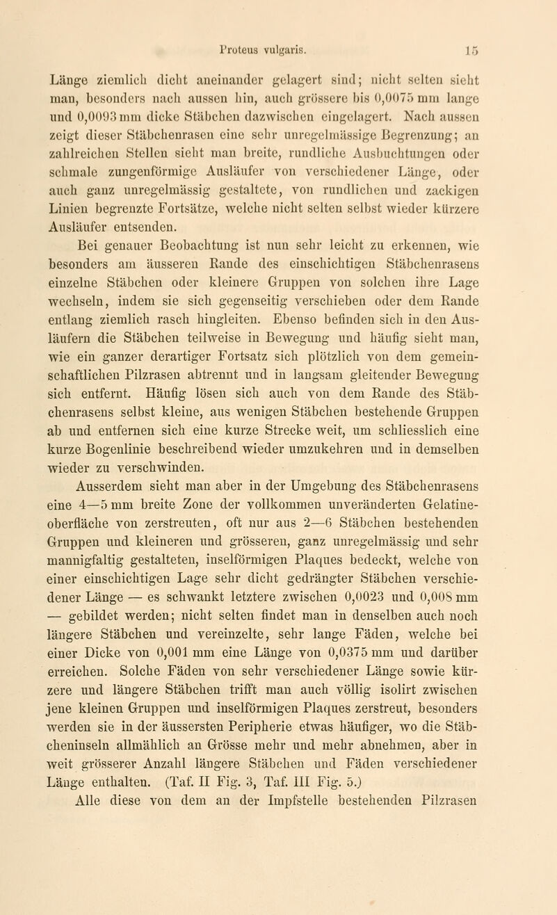 Länge ziemlich dicht aneinander gelagert sind; niclit selten sieht man, besonders nach aussen hin, auch grössere bis 0,0075 mm lange und 0,0093 mm dicke Stäbchen dazwischen eingelagert. Nach aussen zeigt dieser Stäbchenrasen eine sehr unregelmässige Begrenzung; an zahlreichen Stellen sieht man breite, rundliche Ausbuchtungen oder schmale zungeuförmige Ausläufer von verschiedener Länge, oder auch ganz unregelmässig gestaltete, von rundlichen und zackigen Linien begrenzte Fortsätze, welche nicht selten selbst wieder kürzere Ausläufer entsenden. Bei genauer Beobachtung ist nun sehr leicht zu erkennen, wie besonders am äusseren Rande des einschichtigen Stäbchenrasens einzelne Stäbchen oder kleinere Gruppen von solchen ihre Lage wechseln, indem sie sich gegenseitig verschieben oder dem Rande entlang ziemlich rasch hingleiten. Ebenso befinden sich in den Aus- läufern die Stäbchen teilweise in Bewegung und häufig sieht man, wie ein ganzer derartiger Fortsatz sich plötzlich von dem gemein- schaftlichen Pilzrasen abtrennt und in langsam gleitender Bewegung sich entfernt. Häufig lösen sich auch von dem Rande des Stäb- chenrasens selbst kleine, aus wenigen Stäbchen bestehende Gruppen ab und entfernen sich eine kurze Strecke weit, um schliesslich eine kurze Bogenlinie beschreibend wieder umzukehren und in demselben wieder zu verschwinden. Ausserdem sieht man aber in der Umgebung des Stäbchenrasens eine 4—5 mm breite Zone der vollkommen unveränderten Gelatine- oberfläche von zerstreuten, oft nur aus 2—6 Stäbchen bestehenden Gruppen und kleineren und grösseren, ganz unregelmässig und sehr mannigfaltig gestalteten, inselförmigen Plaques bedeckt, welche von einer einschichtigen Lage sehr dicht gedrängter Stäbchen verschie- dener Länge — es schwankt letztere zwischen 0,0023 und 0,008 mm — gebildet werden; nicht selten findet man in denselben auch noch längere Stäbchen und vereinzelte, sehr lange Fäden, welche bei einer Dicke von 0,001mm eine Länge von 0,0375 mm und darüber erreichen. Solche Fäden von sehr verschiedener Länge sowie kür- zere und längere Stäbchen trifft man auch völlig isolirt zwischen jene kleinen Gruppen und inselförmigen Plaques zerstreut, besonders werden sie in der äussersten Peripherie etwas häufiger, wo die Stäb- cheninseln allmählich an Grösse mehr und mehr abnehmen, aber in weit grösserer Anzahl längere Stäbchen und Fäden verschiedener Länge enthalten. (Taf. H Fig. 3, Taf. 111 Fig. 5.) Alle diese von dem an der Impfstelle bestehenden Pilzrasen