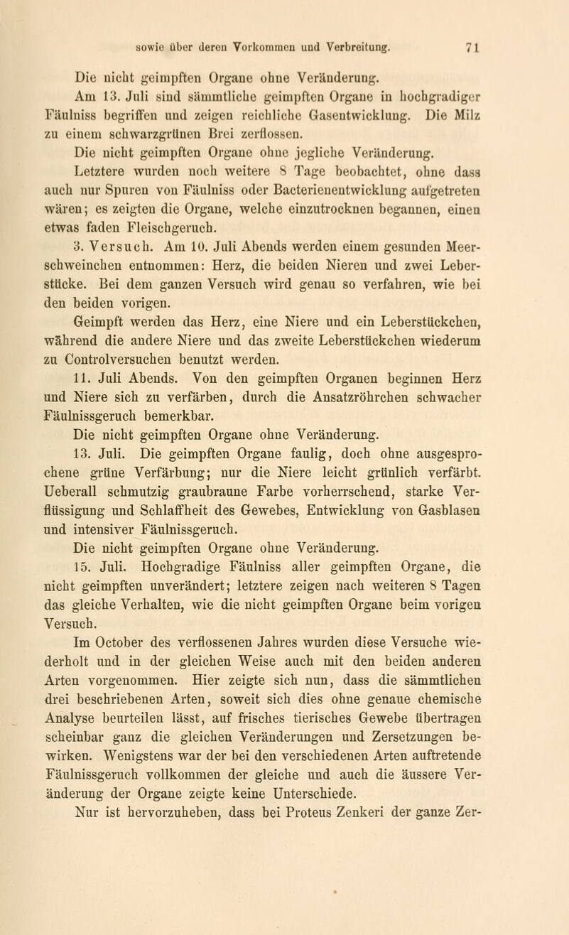 Die nicht geimpften Organe ohne Veränderung. Am 13. Juli sind sämmtliche geimpften Organe in hochgradiger Fäulniss begriffen und zeigen reichliche Gasentwicklung. Die Milz zu einem schwarzgrllnen Brei zerflossen. Die nicht geimpften Organe ohne jegliche Veränderung. Letztere wurden noch weitere 8 Tage beobachtet, ohne dass auch nur Spuren von Fäulniss oder Bacterienentwicklung aufgetreten wären; es zeigten die Organe, welche einzutrocknen begannen, einen etwas faden Fleischgeruch. 3. Versuch. Am 10. Juli Abends werden einem gesunden Meer- schweinchen entnommen: Herz, die beiden Nieren und zwei Leber- stücke. Bei dem ganzen Versuch wird genau so verfahren, wie bei den beiden vorigen. Geimpft werden das Herz, eine Niere und ein Leberstückchen, während die andere Niere und das zweite Leberstückchen wiederum zu Controlversuchen benutzt werden. 11. Juli Abends. Von den geimpften Organen beginnen Herz und Niere sich zu verfärben, durch die Ansatzröhrchen schwacher Fäulnissgeruch bemerkbar. Die nicht geimpften Organe ohne Veränderung. 13. Juli. Die geimpften Organe faulig, doch ohne ausgespro- chene grüne Verfärbung; nur die Niere leicht grünlich verfärbt. Ueberall schmutzig graubraune Farbe vorherrschend, starke Ver- flüssigung und Schlaffheit des Gewebes, Entwicklung von Gasblasen und intensiver Fäulnissgeruch. Die nicht geimpften Organe ohne Veränderung. 15. Juli. Hochgradige Fäulniss aller geimpften Organe, die nicht geimpften unverändert; letztere zeigen nach weiteren 8 Tagen das gleiche Verhalten, wie die nicht geimpften Organe beim vorigen Versuch. Im October des verflossenen Jahres wurden diese Versuche wie- derholt und in der gleichen Weise auch mit den beiden anderen Arten vorgenommen. Hier zeigte sich nun, dass die sämmtlichen drei beschriebenen Arten, soweit sich dies ohne genaue chemische Analyse beurteilen lässt, auf frisches tierisches Gewebe übertragen scheinbar ganz die gleichen Veränderungen und Zersetzungen be- wirken. Wenigstens war der bei den verschiedenen Arten auftretende Fäulnissgeruch vollkommen der gleiche und auch die äussere Ver- änderung der Organe zeigte keine Unterschiede. Nur ist hervorzuheben, dass bei Proteus Zenker! der ganze Zer-