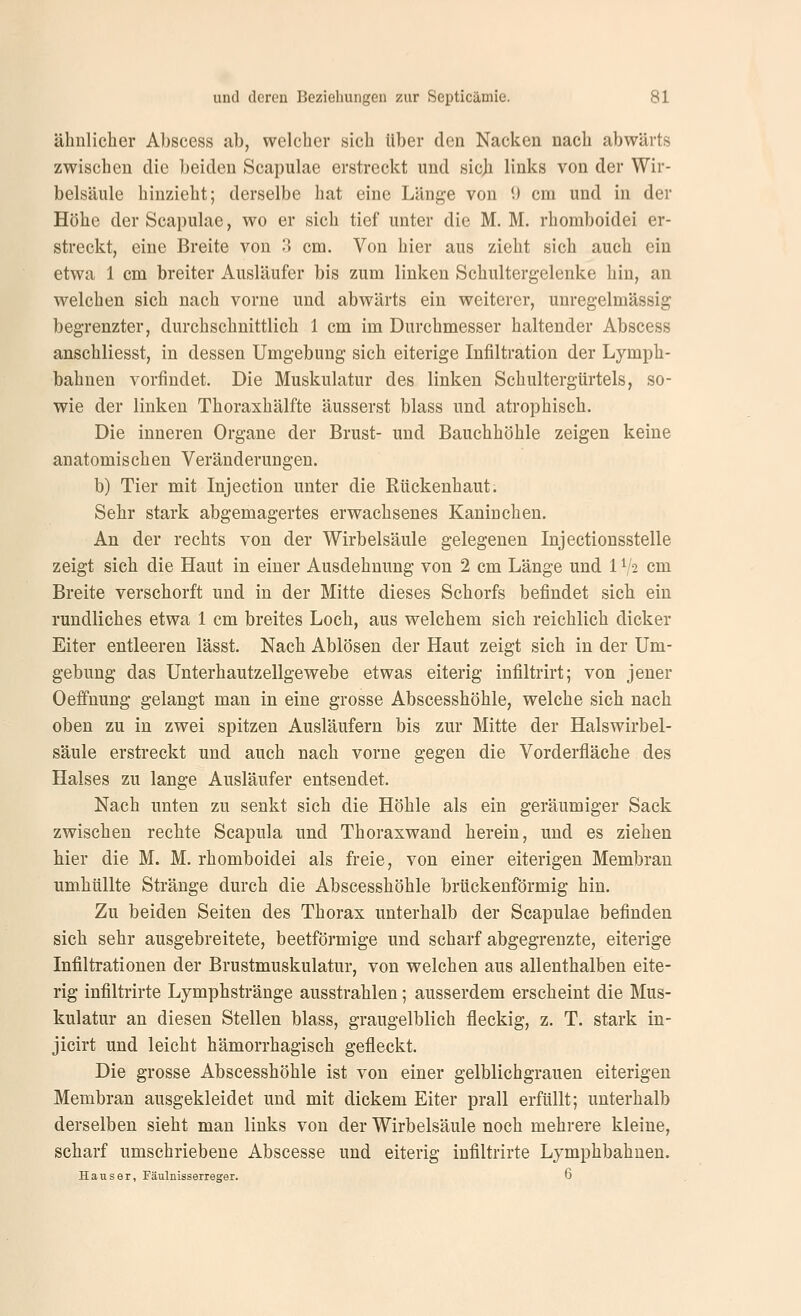 ähnlicher Abscess ab, welcher sich über den Nacken nach abwärts zwischen die beiden Scapulae erstreckt und sicji links von der Wir- belsäule hinzieht; derselbe hat eine Länge von 9 cm und in der Höhe der Scapulae, wo er sich tief unter die M. M. rhomboidei er- streckt, eine Breite von )> cm. Von hier aus zieht sich auch ein etwa 1 cm breiter Ausläufer bis zum linken Schultergelenke hin, an welchen sich nach vorne und abwärts ein weiterer, unregelmässig begrenzter, durchschnittlich 1 cm im Durchmesser haltender Abscess anschliesst, in dessen Umgebung sich eiterige Infiltration der Lymph- bahnen vorfindet. Die Muskulatur des linken Schultergürtels, so- wie der linken Thoraxhälfte äusserst blass und atrophisch. Die inneren Organe der Brust- und Bauchhöhle zeigen keine anatomischen Veränderungen. b) Tier mit Injection unter die Rückenhaut. Sehr stark abgemagertes erwachsenes Kaninchen. An der rechts von der Wirbelsäule gelegenen Injectionsstelle zeigt sich die Haut in einer Ausdehnung von 2 cm Länge und 1V2 cm Breite verschorft und in der Mitte dieses Schorfs befindet sich ein rundliches etwa 1 cm breites Loch, aus welchem sich reichlich dicker Eiter entleeren lässt. Nach Ablösen der Haut zeigt sich in der Um- gebung das Unterhautzellgewebe etwas eiterig infiltrirt; von jener Oeffnung gelangt man in eine grosse Abscesshöhle, welche sich nach oben zu in zwei spitzen Ausläufern bis zur Mitte der Halswirbel- säule erstreckt und auch nach vorne gegen die Vorderfläche des Halses zu lange Ausläufer entsendet. Nach unten zu senkt sich die Höhle als ein geräumiger Sack zwischen rechte Scapula und Thoraxwand herein, und es ziehen hier die M. M. rhomboidei als freie, von einer eiterigen Membran umhüllte Stränge durch die Abscesshöhle brückenförmig hin. Zu beiden Seiten des Thorax unterhalb der Scapulae befinden sich sehr ausgebreitete, beetförmige und scharf abgegrenzte, eiterige Infiltrationen der Brustmuskulatur, von welchen aus allenthalben eite- rig infiltrirte Lymphstränge ausstrahlen; ausserdem erscheint die Mus- kulatur an diesen Stellen blass, graugelblich fleckig, z. T. stark in- jicirt und leicht hämorrhagisch gefleckt. Die grosse Abscesshöhle ist von einer gelblichgrauen eiterigen Membran ausgekleidet und mit dickem Eiter prall erfüllt; unterhalb derselben sieht man links von der Wirbelsäule noch mehrere kleine, scharf umschriebene Abscesse und eiterig infiltrirte Lymphbahuen. Haus er, Fäulnisserreger. 6