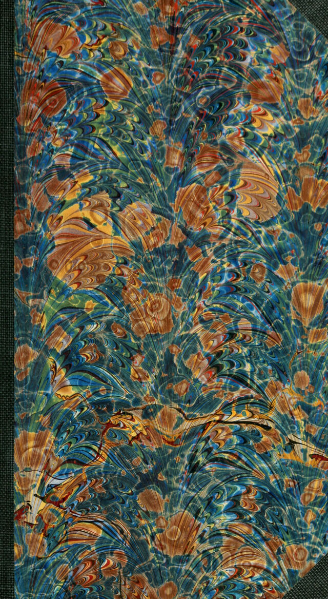 digitised image 1