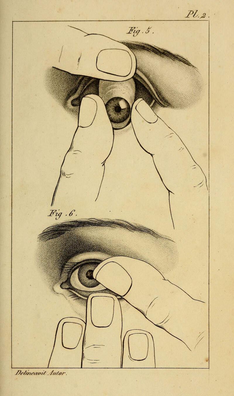 J?efaieei0Î£--4uùtt