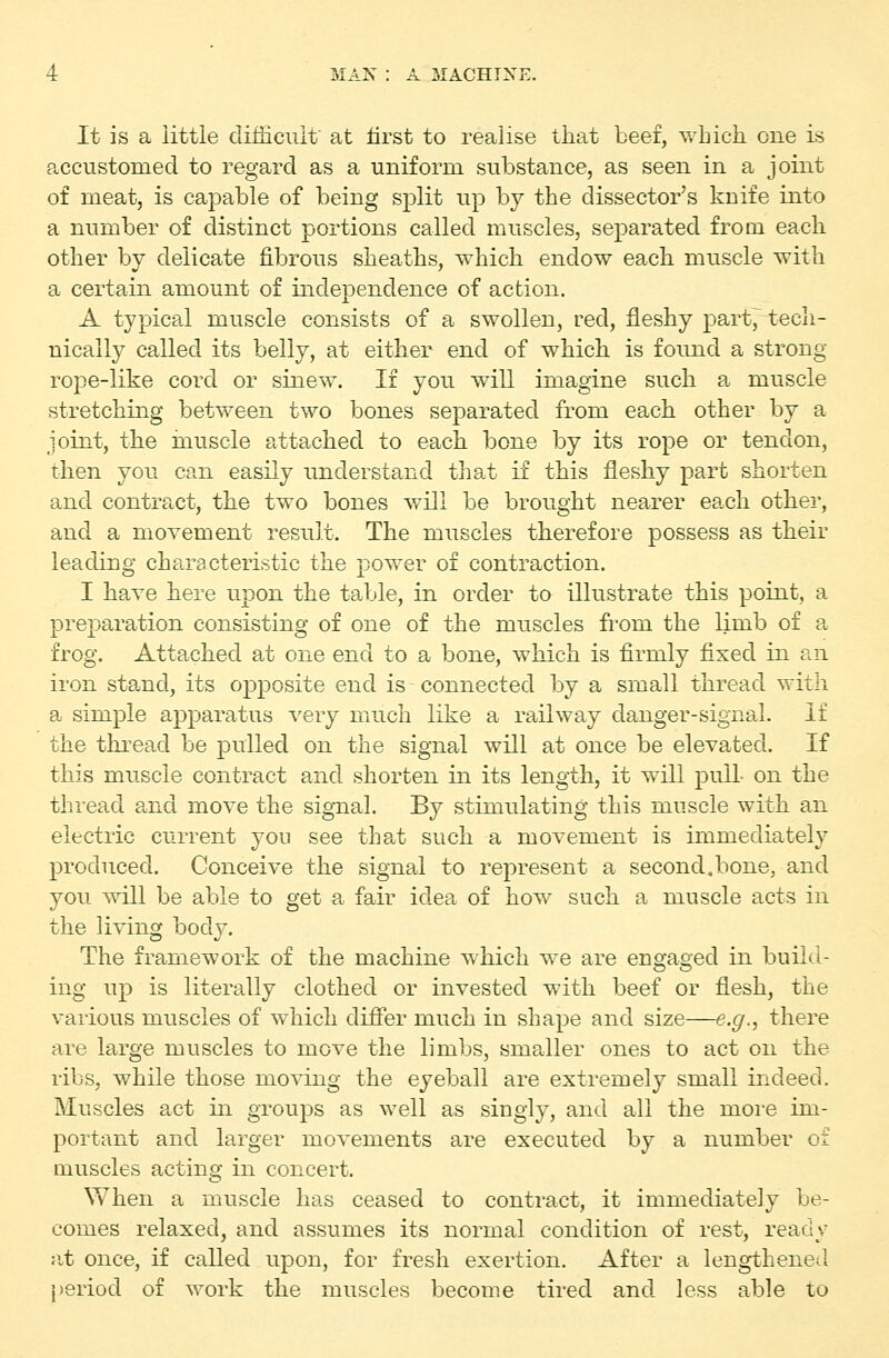 It is a little clifiiciilt at first to realise that beef, which one is accustomed to regard as a uniform substance, as seen in a joint of meat, is capable of being split up by the dissector's knife into a number of distinct portions called muscles, separated from each other by delicate fibrous sheaths, which endow each muscle with a certain amount of independence of action. A typical muscle consists of a swollen, red, fleshy part7 tech- nically called its belly, at either end of which is found a strong rope-like cord or sinew. If you will imagine such a muscle stretching between two bones separated from each other by a joint, the inuscle attached to each bone by its rope or tendon, then you can easily understand that if this fleshy part shorten and contract, the two bones will be brought nearer each other, and a movement result. The muscles therefore possess as their leading characteristic the powder of contraction. I have here upon the table, in order to illustrate this point, a preparation consisting of one of the muscles from the limb of a frog. Attached at one end to a bone, which is firmly fixed in an iron st8.nd, its opposite end is connected by a small thread with a simple apparatus very much like a railway danger-signal. If the thi^ead be pulled on the signal will at once be elevated. If this muscle contract and shorten in its length, it will pull- on the thread a.nd move the signal. By stimulating this muscle with an electric current you see that such a movement is immediately produced. Conceive the signal to represent a second.bone, and you will be able to get a fair idea of how such a muscle acts in the living body. The framework of the machine which we are engaged in build- ing up is literally clothed or invested with beef or flesh, the various muscles of which difier much in shape and size—e.^., there are large muscles to move the limbs, smaller ones to act on the ribs, while those moving the eyeball are extremely small indeed. Muscles act in groups as well as singly, and all the more im- portant and larger movements are executed by a number of muscles acting in concert. When a muscle has ceased to contract, it immediately be- comes relaxed, and assumes its normal condition of rest, ready at once, if called upon, for fresh exertion. After a lengthened period of work the muscles become tired and less able to