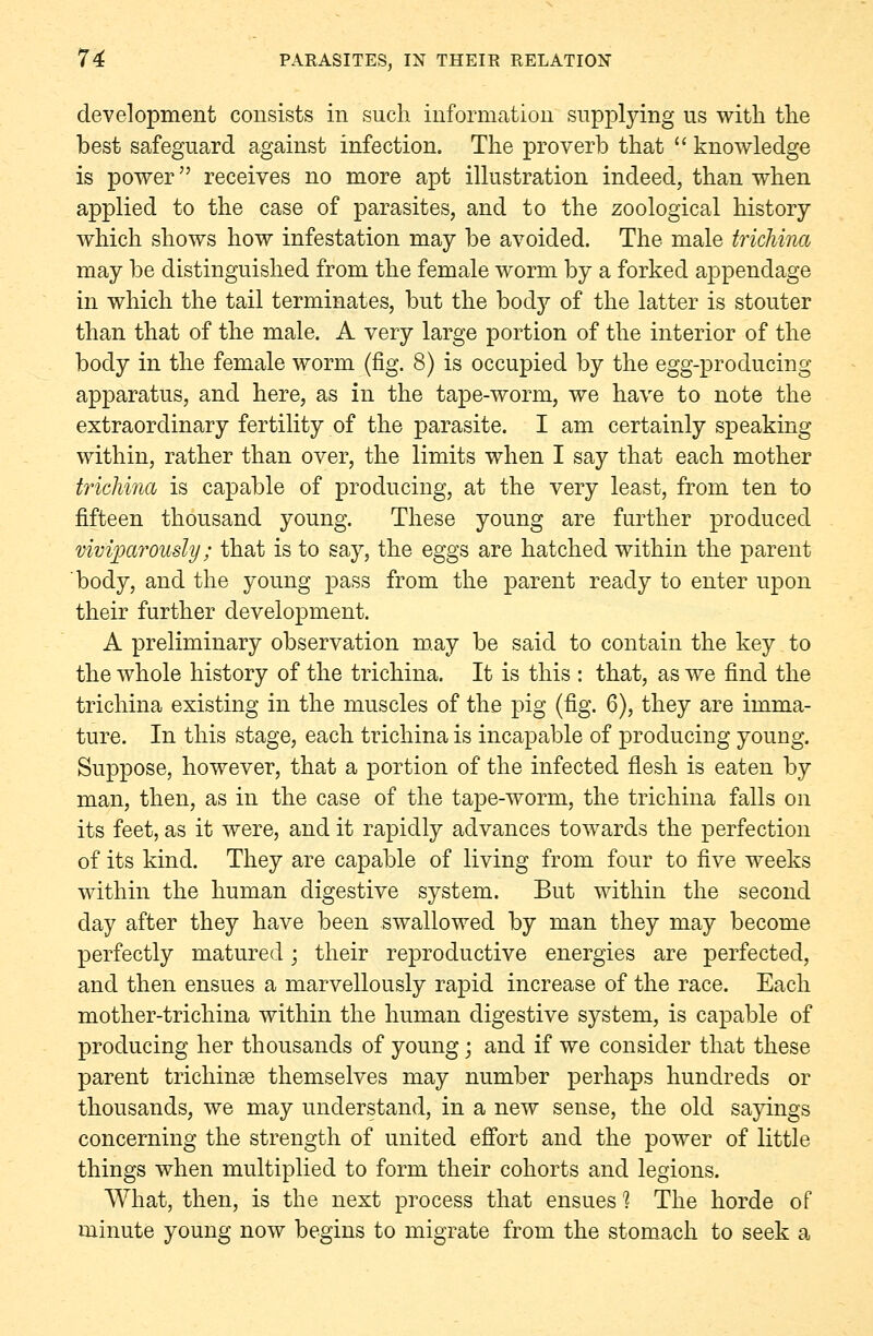 development consists in such information supplying us with the best safeguard against infection. The proverb that  knowledge is power receives no more apt illustration indeed, than when applied to the case of parasites, and to the zoological history which shows how infestation may be avoided. The male trichina may be distinguished from the female worm by a forked appendage in which the tail terminates, but the body of the latter is stouter than that of the male. A very large portion of the interior of the body in the female worm (fig. 8) is occupied by the egg-producing apparatus, and here, as in the tape-worm, we have to note the extraordinary fertility of the parasite. I am certainly speaking within, rather than over, the limits when I say that each mother trichina is capable of producing, at the very least, from ten to fifteen thousand young. These young are further produced viviparously; that is to say, the eggs are hatched within the parent body, and the young pass from the parent ready to enter upon their further development. A preliminary observation may be said to contain the key to the whole history of the trichina. It is this : that, as we find the trichina existing in the muscles of the pig (fig. 6), they are imma- ture. In this stage, each trichina is incapable of producing young. Suppose, however, that a portion of the infected flesh is eaten by man, then, as in the case of the tape-worm, the trichina falls on its feet, as it were, and it rapidly advances towards the perfection of its kind. They are capable of living from four to five weeks within the human digestive system. But within the second day after they have been swallowed by man they may become perfectly matured; their reproductive energies are perfected, and then ensues a marvellously rapid increase of the race. Each mother-trichina within the human digestive system, is capable of producing her thousands of young • and if we consider that these parent trichinae themselves may number perhaps hundreds or thousands, we may understand, in a new sense, the old sayings concerning the strength of united effort and the power of little things when multiplied to form their cohorts and legions. What, then, is the next process that ensues 1 The horde of minute young now begins to migrate from the stomach to seek a