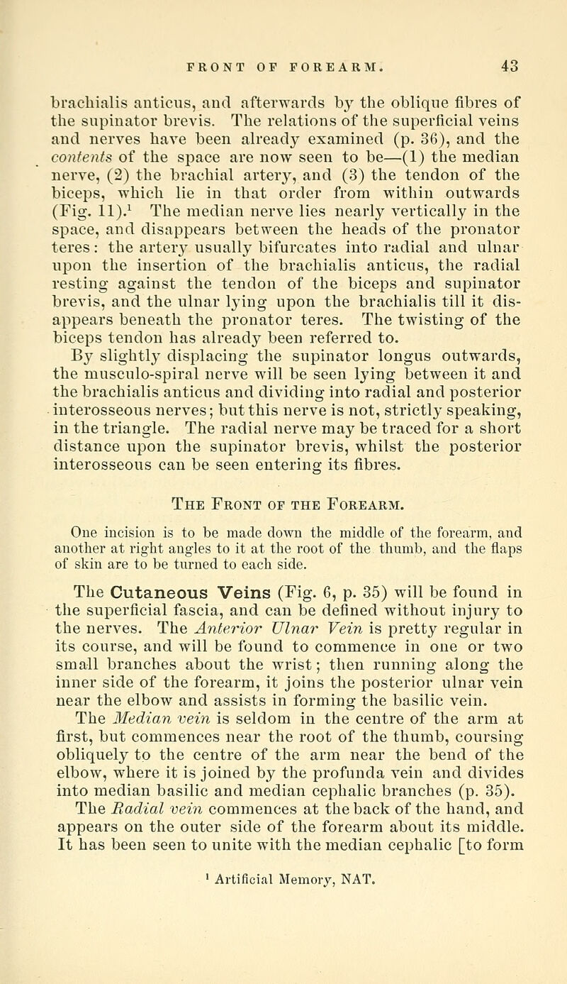 brachialis anticus, and afterwards by the oblique fibres of the supinator brevis. The relations of the superficial veins and nerves have been already examined (p. 36), and the contents of the space are now seen to be—(1) the median nerve, (2) the brachial arterj^, and (3) the tendon of the biceps, which lie in that order from within outwards (Fig. 11).^ The median nerve lies nearly vertically in the space, and disappears between the heads of the pronator teres: the artery usually bifurcates into radial and ulnar upon the insertion of the brachialis anticus, the radial resting against the tendon of the biceps and supinator brevis, and the ulnar lying upon the brachialis till it dis- appears beneath the pronator teres. The twisting of the biceps tendon has already been referred to. By slightly displacing the supinator longus outwards, the musculo-spiral nerve will be seen l3'ing between it and the brachialis anticus and dividing into radial and posterior interosseous nerves; but this nerve is not, strictly speaking, in the triangle. The radial nerve may be traced for a short distance upon the supinator brevis, whilst the posterior interosseous can be seen entering its fibres. The Front of the Forearm. One incision is to be made down the middle of the forearm, and another at right angles to it at the root of the thumb, and the flaps of skin are to be turned to each side. The Cutaneous Veins (Fig. 6, p. 35) will be found in the superficial fascia, and can be defined without injury to the nerves. The Anterior Ulnar Vein is pretty regular in its course, and will be found to commence in one or two small branches about the wrist; then running along the inner side of the forearm, it joins the posterior ulnar vein near the elbow and assists in forming the basilic vein. The Median vein is seldom in the centre of the arm at first, but commences near the root of the thumb, coursing obliquely to the centre of the arm near the bend of the elbow, where it is joined by the profunda vein and divides into median basilic and median cephalic branches (p. 35). The Radial vein commences at the back of the hand, and appears on the outer side of the forearm about its middle. It has been seen to unite with the median cephalic [to form ' Artificial Memory, NAT.