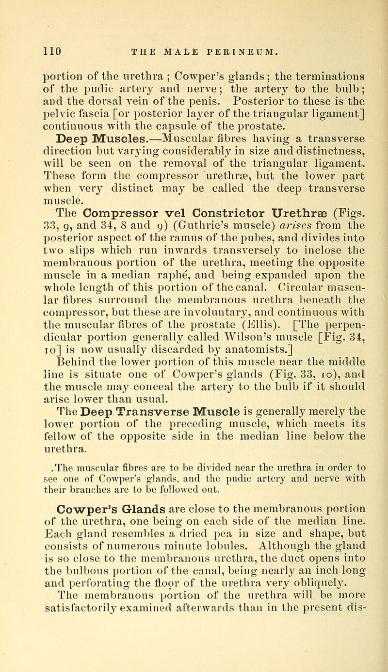 portion of the urethra ; Cowper's glands ; the terminations of the puclic artery and nerve; the artery to the bulb; and the dorsal A'ein of the penis. Posterior to these is the pelvic fascia [or posterior layer of the triangular ligament] continuous with the capsule of the prostate. Deep Muscles.—Muscular fibres having a transverse direction but varying considerably in size and distinctness, will be seen on the removal of the triangular ligament. These form the compressor urethrse, but the lower part when very distinct may be called the deep transverse muscle. The Compressor vel Constrictor Urethrae (Figs. 33, 9, and 34, 8 and 9) (Guthrie's muscle) arises from the posterior aspect of the ramus of the pubes, and divides into two slips which run inwards transversely to inclose the membranous portion of the urethra, meeting the opposite muscle in a median raphe, and being expanded upon the whole length of this portion of the canal. Circular muscu- lar fibres surround the membranous urethra beneath the compressor, but these are involuntary, and continuous with the muscular fibres of the prostate (Ellis). [The perpen- dicular portion generally called Wilson's muscle [Fig. 34, 10] is now usually discarded hy anatomists.] Behind the lower portion of this muscle near the middle line is situate one of Cowper's glands (Fig. 33, 10), and the muscle may conceal the artery to the bulb if it should arise lower than usual. The Deep Transverse Muscle is generally merely the lower portion of the preceding muscle, which meets its fellow of the opposite side in the median line below the urethra. .The muscular fibres are to be divided near the urethra in order to see one of Cowper's glands, and the pudic artery and nerve with their branches are to be followed out. Co'wper's Glands are close to the membranous portion of the urethra, one being on each side of the median line. Each gland resembles a dried pea in size and shape, but consists of numerous minute lobules. Although the gland is so close to the membranous urethra, the duct opens into the bulbous portion of the canal, being nearlj^ an inch long and perforating the floor of the urethra very obliq^el3^ The membranous portion of the urethra will be more satisfactorily examined afterwards than in the present dis-