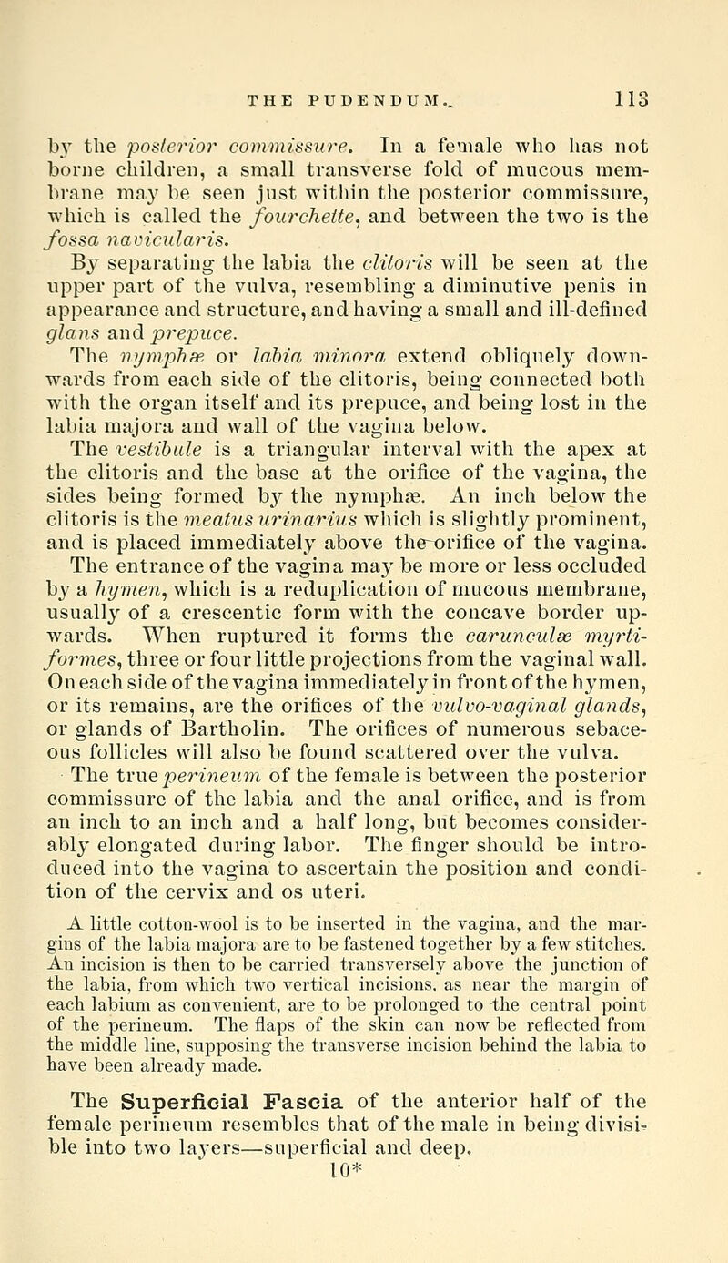 b}' the poslerio)' commissiwe. In a female who has not borne children, a small transverse fold of mucous mem- brane may be seen just within the posterior commissure, which is called the fourchelte, and between the two is the fossa navicularis. By separating the labia the clitoris will be seen at the upper part of the vulva, resembling a diminutive penis in appearance and structure, and having a small and ill-deflned glans and prepuce. The nymphas or labia minora extend obliquely down- wards from each side of the clitoris, being connected both with the organ itself and its prepuce, and being lost in the labia majora and wall of the vagina below. The vestibule is a triangular interval with the apex at the clitoris and the base at the orifice of the vagina, the sides being formed by the nymphfe. An inch below the clitoris is the meatus urinarius which is slightly prominent, and is placed immediately above theorifice of the vagina. The entrance of the vagina may be more or less occluded by a hymen, which is a reduplication of mucous membrane, usually of a crescentic form with the concave border up- wards. When ruptured it forms the carunculse- myrti- formes, three or four little projections from the vaginal wall. On each side of the vagina immediately in front of the hymen, or its remains, are the orifices of the vulvo-vaginal glands, or glands of Bartholin. The orifices of numerous sebace- ous follicles will also be found scattered over the vulva. The true perineum of the female is between the posterior commissure of the labia and the anal orifice, and is from an inch to an inch and a half long, but becomes consider- ably elongated during labor. The finger should be intro- duced into the vagina to ascertain the position and condi- tion of the cervix and os uteri. A little cotton-wool is to be inserted in the vagina, and the mar- gins of the labia majora are to be fastened together by a few stitches. An incision is then to be carried transversely above the junction of the labia, from which two vertical incisions, as near the margin of each labium as convenient, are to be prolonged to the central point of the perineum. The flaps of the skin can now be reflected from the middle line, supposing the transverse incision behind the labia to have been already made. The Superficial Fascia of the anterior half of the female perineum resembles that of the male in being divisi- ble into two laj^ers—superficial and deep. 10*