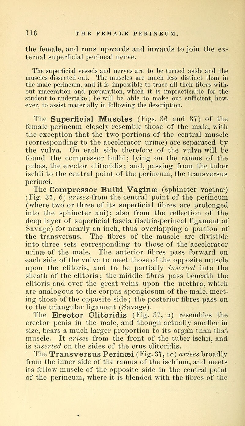 the female, and runs upwards and inwards to join the ex- ternal superficial perineal nerve. The superficial vessels and nerves are to be turned aside and the muscles dissected out. The muscles ai-e much less distinct than in the male perineum, and it is impossible to trace all their fibres with- out maceration and preparation, which it is impracticable for the student to undertake; he will be able to make out sufficient, how- ever, to assist materially in following the description. The Superficial Muscles (Figs. 36 and 31) of the female perineum closely resemble those of the male, with the exception that the two portions of the central muscle (corresponding to the accelerator urinse) are separated by the vulva. On each side therefore of the vulva will be found the compressor bulbi; lying on the ramus of the pubes, the erector clitoridis; and, passing from the tuber ischii to the central point of the perineum, the transversus perinffii. The Compressor Bulbi Vaginae (sphincter vaginae) (Fig. 37, 6) arises from the central point of the perineum (where two or three of its superficial fibres are prolonged into the sphincter ani); also from the reflection of the deep layer of superficial fascia (ischio-perineal ligament of Savage) for neai'ly an inch, thus overlapping a portion of the transversus. The fibres of the muscle are divisible into three sets corresponding to those of the accelerator urinse of the male. The anterior fibres pass forward on each side of the vulva to meet those of the opposite muscle upon the clitoris, and to be partially inserted into the sheath of the clitoris ; the middle fibres pass beneath the clitoris and over the great veins upon the urethra, which are analogous to the corpus spongiosum of the male, meet- ing those of the opposite side; the posterior fibres pass on to the triangular ligament (Savage). The Erector Clitoridis (Fig. 37, 2) resembles the erector penis in the male, and though actually smaller in size, bears a much larger proportion to its organ than that muscle. It arises from the front of the tuber ischii, and is inserted on the sides of the crus clitoridis. The Transversus Perinaei (Fig. 37,10) arises broadly from the inner side of the ramus of the ischium, and meets its fellow muscle of the opposite side in the central point of the perineum, where it is blended with the fibres of the