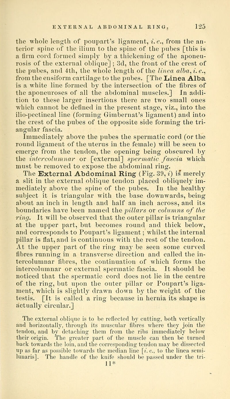the whole length of poiipavt's ligament, ^. e., from the an- terior spine of the ilium to the spine of the pnbes [this is a firm cord formed simply by a thickening of the aponeu- rosis of the external oblique] ; 3d, the front of the crest of the pubes, and 4th, the whole length of the linea alba,i.e., from the ensiform cartilage to the pubes. [The Linea Alba is a white line formed by the intersection of the fibres of the aponeuroses of all the abdominal muscles.] In addi- tion to these larger insertions there are two small ones which cannot be defined in the present stage, viz., into the ilio-pectineal line (forming Gimbernat's ligament) and into the crest of the pubes of the opposite side forming the tri- angular fascia. Immediately above the pubes the spermatic cord (or the round ligament of the uterus in the female) will be seen to emerge from the tendon, the opening being obscured by the intercolumnar or [external] spermatic fascia which must be removed to expose the abdominal ring. The External Abdominal Ring (Fig. 39, i) is merely a slit in the external oblique tendon placed obliquely im- mediately above the spine of the pubes. In the healthy subject it is triangular with the base downwards, being about an inch in length and half an inch across, and its boundaries have been named the pillars or columns of the ring. It will be observed that the outer pillar is triangular at the upper part, but becomes round and thick below, and corresponds to Poupart's ligament; whilst the internal pillar is flat, and is continuous with the rest of the tendon. At the upper part of the ring may be seen some curved fibres running in a transverse direction and called tlie in- tercolumnar fibres, the continuation of which forms the intercolumnar or external spermatic fascia. It should be noticed that the spermatic cord does not lie in the centre of the ring, but upon the outer pillar or Poupart's liga- ment, which is slightlj^ drawn down b}' the weight of the testis. [It is called a ring because in hernia its shape is actually circular.] The external oblique is to be reflected by cutting, both vertically and horizontally, through its muscular fibres where they join the tendon, and by detaching them from the ribs immediately below their origin. The greater part of the muscle can then be turned back towards the loin, and the corresponding tendon may be dissected up as far as possible towards the median line \i. e., to the linea semi- lunaris]. The handle of the knife should be passed under the tri- ll*