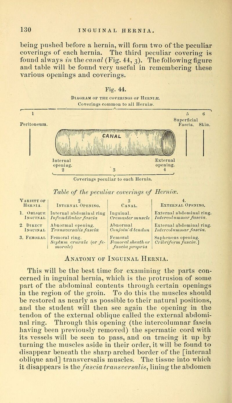 being pushed before a hernia, will form two of the peculiar coverings of each hernia. The third peculiar covering is found always in the canal (Fig. 44, 3). The following figure and table will be found very useful in remembering these various openings and coverings. Fig. 44. Diagram of the coverings of Hernia. Coverings common to all Heruiai. Superficial Fascia. Skin. Vartf.tt of Hernia. 1. Obliquk Ixcil'INAL 2. Direct iNGL'INAIi 3. Femoral Internal opening. 2 External opening. 4 Coverings peculiar to each Hernia. Table of the peculiar coverings of Hernias. 2 Internal Opening. 3 Canal. Infernal abdominal ring InfundiJnUar fascia lagniual. Cremafter muscle Abnormal opening. Transversalis fascia Abnormal Ounjoin'd tendon Femoral ring. Septum crurale {or fe- raorale) Femoral Femoral sheath or fascia propria External Opening. External abdominal ring. Intercolumnar fascia. External abdominal ring. Intercolumnar fascia. Saphenous opening. Cr ihriform. fascia. ] Anatomy or Inguinal Hernia. This will be the best time for examining the parts con- cerned in inguinal hernia, which is the protrusion of some part of the abdominal contents through certain openings in the region of the groin. To do this the muscles should be restored as nearly as possible to their natural positions, and the student will then see again the opening in the tendon of the external oblique called the external abdomi- nal ring. Through this opening (the intercolumnar fascia having been previouslj^ removed) the spermatic cord with its vessels will be seen to pass, and on tracing it up by turning the muscles aside in their order, it will be found to disappear beneath the sharp arched border of the [internal oblique and] transversalis muscles. The tissue into which it disappears is the/ascm transversalis, lining the abdomen