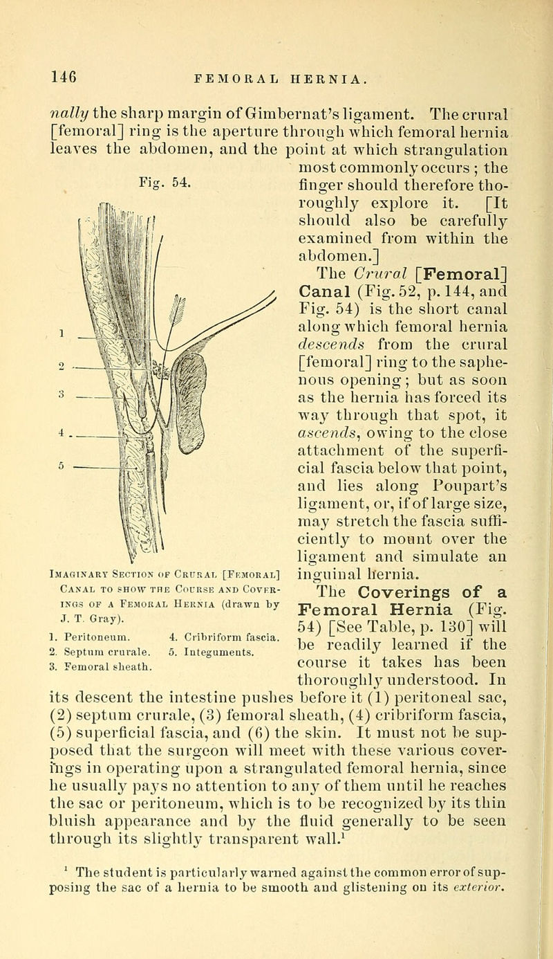 54. nally the sharp margin of Gimbernat's ligament. The crural [femoral] ring is the aperture through which femoral hernia leaves the abdomen, and the point at which strangulation most commonly occurs ; the finger should therefore tho- roughly explore it. [It should also be carefully examined from within the abdomen.] The Crural [Femoral] Canal (Fig. 52, p. 144, and Fig. 54) is the short canal along which femoral hernia descends from the crural [femoral] ring to the saphe- nous opening; but as soon as the hernia has forced its way through that spot, it ascends, owing to the close attachment of the superfi- cial fascia below that point, and lies along PouiDart's ligament, or, if of large size, may stretch the fascia suffi- ciently to mount over the ligament and simulate an inguinal hernia. The Coverings of a Femoral Hernia (Fig. 54) [See Table, p. 180] will be readily learned if the course it takes has been thorouglil}^ understood. In its descent the intestine pushes before it (1) peritoneal sac, (2) septum crurale, (3) femoral sheath, (4) cribriform fascia, (5) superficial fascia, and (6) the skin. It must not be sup- posed that the surgeon will meet with these various cover- ings in operating upon a strangulated femoral hernia, since he usually paj's no attention to any of them until he reaches the sac or peritoneum, which is to be recognized by its thin bluish appearance aud by the fluid generally to be seen through its slightly transparent wall.^ ' The student is particularly warned against the common error of sup- posing the sac of a hernia to be smooth aud glistening on its exterior. Imaginary Section of Crural [Fkmorai,] Canal to show the Course and Cover- ings OF A Femoral Hernia (drawn by J. T. Gray). Peritoneum. Septum crurale. Femoral slieath. 4. CiilM'iform fascia. 5. Integuments.