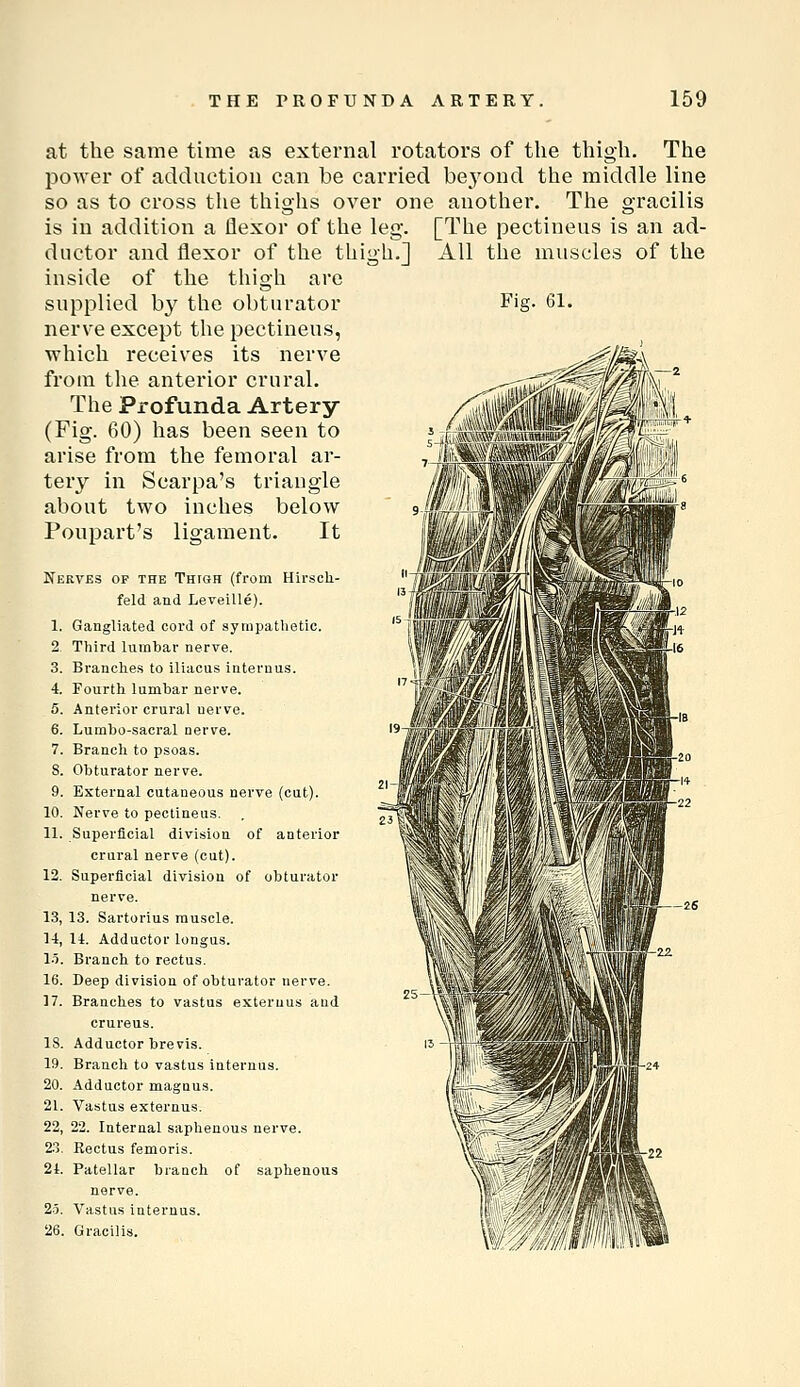 at the same time as external rotators of the thigh. The power of adduction can be carried be3^ond the middle line so as to cross tlie thighs over one another. The gracilis is in addition a flexor of the leg. [The pectineus is an ad- ductor and flexor of the thigh.] All the muscles of the inside of the thigh are supplied by the obturator Fig- 61. nerve except the pectineus, which receives its nerve ^,i^l^A from the anterior crural. ,,-^!lj^^^1^^^~^ The Profunda Artery (Fig. 60) has been seen to arise from the femoral ar- tery in Scarpa's triangle about two inches below Poupart's ligament. It Nerves of the Thtgh (from Hirsch- feld and LeveUle). 1. Gangliated cord of sympathetic. 2 Third lumbar nerve. 3. Branches to iUacus internus. 4. Fourth lumbar nerve. 5. Anterior crural nerve. 6. Lurabo-sacral nerve. 7. Branch to psoas. 8. Obturator nerve. 9. External cutaneous nerve (cut). 10. Nerve to pectineus. 11. Superficial division of anterior crural nerve (cut). 12. Superficial division of obturator nerve. 13. 13. Sartorius muscle. 14. 14. Adductor longus. l-i. Branch to rectus. 16. Deep division of obturator nerve. 17. Branches to vastus exteruus and crureus. 15. Adductor brevis. 19. Brancli to vastus internus. 20. Adductor magnus. 21. Vastus exteruus. 22. 22. Internal saphenous nerve. 2:3. Rectus femoris. 21. Patellar brauch of saphenous nerve. 2.3. Vastus internus. 26. Gracilis.