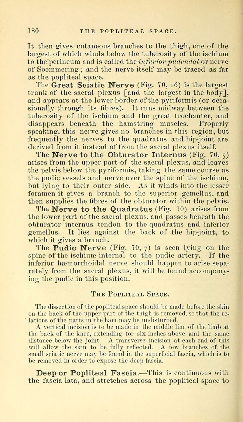 It then gives cutaneous branches to the thigh, one of the largest of which winds below the tuberosity of the ischium to the perineum and is called the inferior pudendal or nerve of Soemmering; and the nerve itself may be traced as far as the popliteal space. The Great Sciatic Nerve (Fig. tO, i6) is the largest trunk of the sacral plexus [and the largest in the body], and appears at the lower border of the pyriformis (or occa- sionall}^ through its fibres). It runs midway between the tuberosity of the ischium and the great trochanter, and disappears beneath the hamstring muscles. Propei^ly speaking, this nerve gives no branches in this region, but frequently the nerves to the quadratus and hip-joint are derived from it instead of from the sacral plexus itself. The Nerve to the Obturator Internus (Fig. *rO, 5) arises from the upper part of the sacral plexus, and leaves the pelvis below the pyriformis, taking the same course as the pudic vessels and nerve over the spine of the ischium, but lying to their outer side. As it winds into the lesser foramen it gives a branch to the superior gemellus, and then supplies the fibres of the obturator within the pelvis. The Nerve to the Quadratus (Fig. TO) arises from the lower part of the sacral plexus, and passes beneath the obturator internus tendon to the quadratus and inferior gemellus. It lies against the back of the hip-joint, to which it gives a branch. The Pudic Nerve (Fig. 'TO, 7) is seen lying on the spine of the ischium internal to the pudic artery. If the infei'ior ha^moj'rhoidal nerve should happen to arise sepa- rately from the sacral plexus, it will be found accompany- ing the pudic in this position. The Popliteal Space. The dissection of the popliteal space should be made before the skin on the back of the upper part of the thigh is removed, so that the re- ■ lations of the parts in the ham may be undisturbed. A vertical incision is to be made in the middle line of the limb at the back of the knee, extending for six inches above and the same distance below the joint. A transverse incision at each end of this will allow the skin to be fully reflected. A few branches of the small sciatic nerve may be found in the superficial fascia, which is to be removed in order to expose the deep fascia. Deep or Popliteal Fascia.—This is continuous with the fascia lata, and stretches across the popliteal space to
