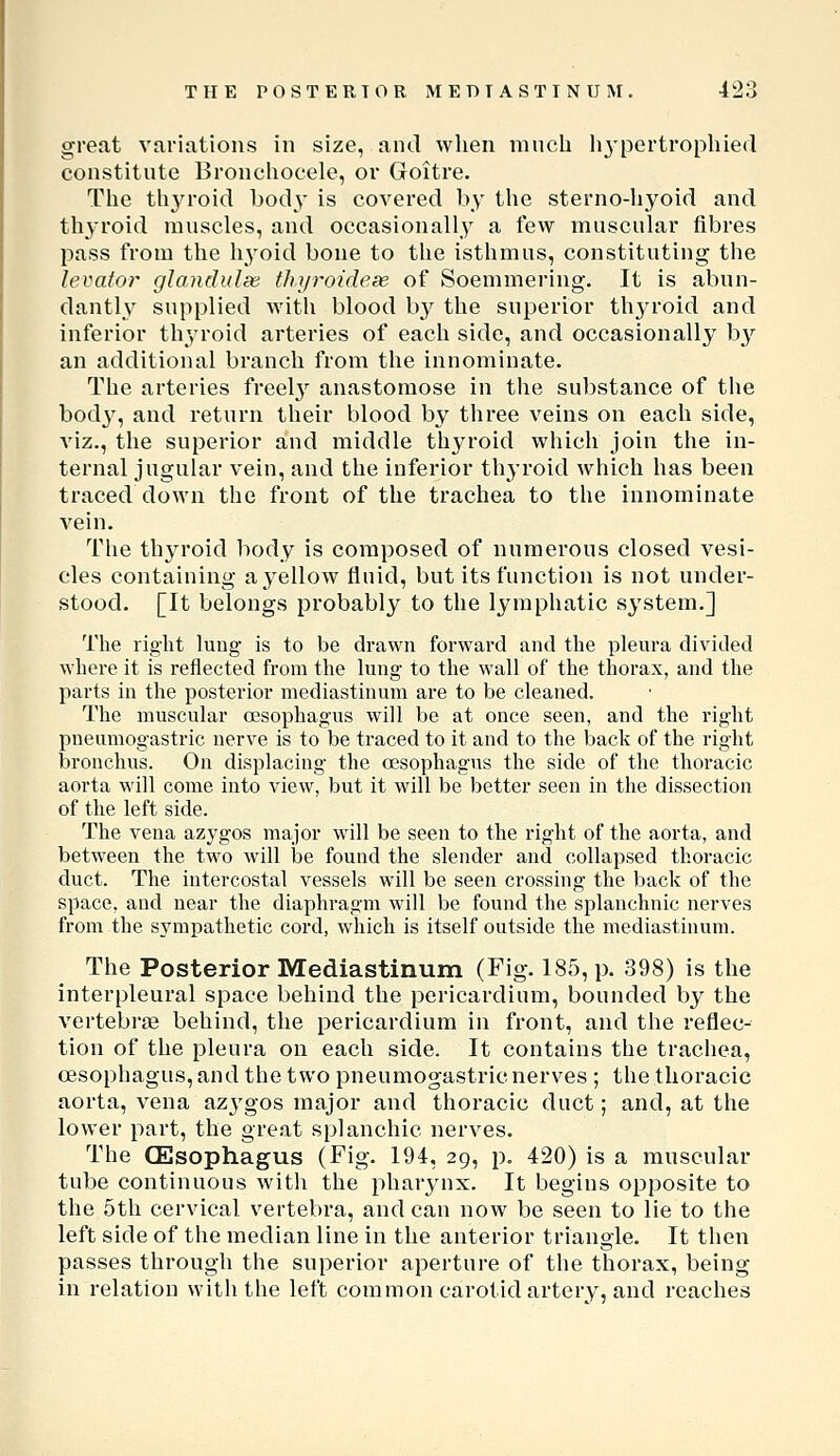 great variations in size, and when much lij'pertropliied constitnte Bronchocele, or Goitre. The thja-oid body is covered by the sterno-hyoid and thyroid muscles, and occasionally a few muscular fibres pass from the li3oid bone to the isthmus, constituting the levator glandulse thyroidese of Soemmering. It is abun- dantly supplied with blood b}^ the superior thyroid and inferior thj/roid arteries of each side, and occasionally b}'^ an additional branch from the innominate. The arteries freel}^ anastomose in the substance of the bod}^, and return their blood by three veins on each side, A'iz., the superior and middle thyroid which join the in- ternal jugular vein, and the inferior thyroid which has been traced down the front of the trachea to the innominate vein. The thjn'oid body is composed of numerous closed vesi- cles containing a yellow fluid, but its function is not under- stood. [It belongs probably to the lymphatic system.] The right luug is to be drawn forward and the pleura divided where it is reflected from the lung to the wall of the thorax, and the parts in the posterior mediastinum are to be cleaned. The muscular oesophagus will be at once seen, and the right pneumogastric nerve is to be traced to it and to the back of the right bronchus. On displacing the oesophagus the side of the thoracic aorta will come into view, but it will be better seen in the dissection of the left side. The vena azygos major will be seen to the right of the aorta, and between the two will be found the slender and collapsed thoracic duct. The intercostal vessels will be seen crossing the back of the space, and near the diaphragm will be found the splanchnic nerves from the sympathetic cord, which is itself outside the mediastinum. The Posterior Mediastinum (Fig. 185, p. 398) is the interpleural space behind the pericardium, bounded by the vertebrae behind, the pericardium in front, and the reflec- tion of the pleura on each side. It contains the trachea, oesophagus, and the two pneumogastric nerves ; the thoracic aorta, vena azygos major and thoracic duct; and, at the lower part, the great splanchic nerves. The (Esophagus (Fig. 194, 29, p. 420) is a muscular tube continuous with the pharynx. It begins opposite to the 5th cervical vertebra, and can now be seen to lie to the left side of the median line in the anterior triangle. It then passes through the superior aperture of the thorax, being in relation with the left common carotid artery, and reaches