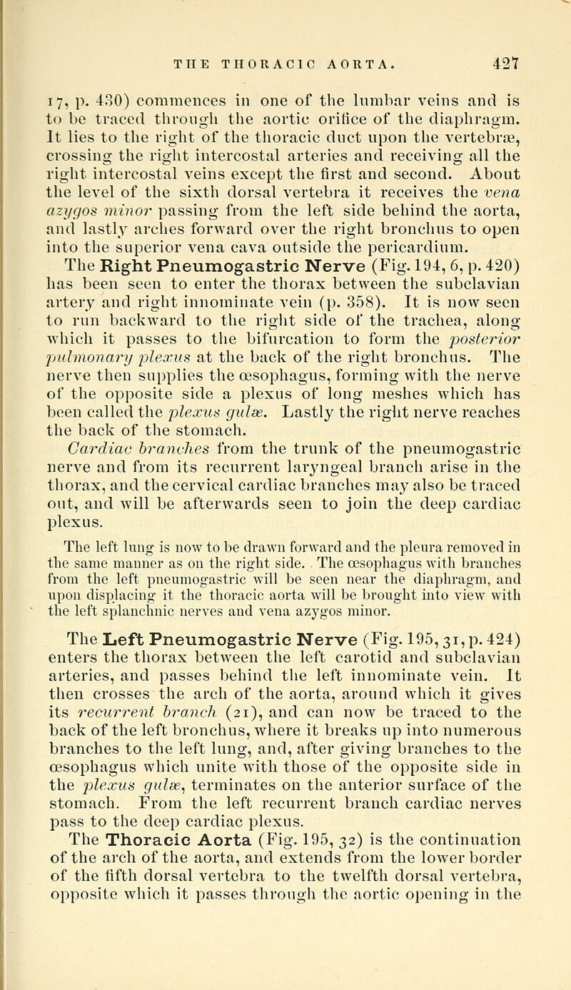 17, p. 4o0) commences in one of the lumbar veins and is to be traced through the aortic orifice of the diaphragm. It lies to the right of the thoracic duct upon the vertebrae, crossing the right intercostal arteries and receiving all the right intercostal veins except the first and second. About the level of the sixth dorsal vertebra it receives the vena azi/gos minor passing from the left side behind the aorta, and lastly arches forward over the right bronchus to open into the superior vena cava outside the pericardium. The Right Pneumogastrie Nerve (Fig. 194, 6, p. 420) has been seen to enter the thorax between the subclavian artery and right innominate vein (p. 358). It is now seen to run backward to the right side of the trachea, along which it passes to the bifurcation to form the posterior pulmonary plexus at the back of the right bronchus. The nerve then supplies the oesophagus, forming with the nerve of the opposite side a plexus of long meshes which has been called the jjlexus guide. Lastly the right nerve reaches the back of the stomach. Cardiac branches from the trunk of the pneumogastric nerve and from its recurrent laryngeal branch arise in the thorax, and the cervical cardiac branches may also be traced out, and will be afterwards seen to join the deep cardiac plexus. The left lung is now to be drawn forward and the pleura removed in the same manner as on the right side. The oesophagus with branches from the left pneumogastric will be seen near the diaphragm, and upon displacing it the thoracic aorta will be brought into view with the left splanchnic nerves and vena azygos minor. The Left Pneumogastric Nerve (Fig. 195,31, p. 424) enters the thorax between the left carotid and subclavian arteries, and passes behind the left innominate vein. It then crosses the arch of the aorta, around which it gives its recurrent branch (21), and can now be traced to the back of the left bronchus, where it breaks up into numerous branches to the left lung, and, after giving branches to the oesophagus which unite with those of the opposite side in the plexus gulae, terminates on the anterior surface of the stomach. From the left recurrent branch cardiac nerves pass to the deep cardiac plexus. The Thoracic Aorta (Fig. 195, 32) is the continuation of the arch of the aorta, and extends from the lower border of the fifth dorsal vertebra to the twelfth dorsal A^ertebra, opposite which it passes through the aortic opening in the