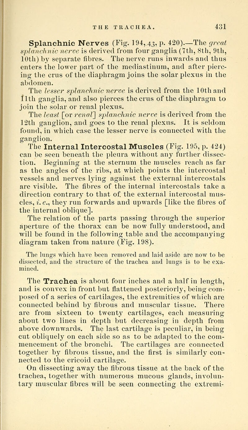 Splanchnic Nerves (Fig. 194, 43, p. 420).—The great splanchnic nerve is derived from four ganglia (*7th, 8th, 9th, 10th) by separate fibres. The nerve runs inwards and thus enters the lower part of the mediastinum, and after pierc- ing the crus of the diaphragm joins the solar plexus in the abdomen. The lesser splanchnic nerve is derived from the 10th and llth ganglia, and also pierces the crus of the diaphragm to join the solar or renal plexus. The least [or renal'] splanchnic nerve is derived from the 12th ganglion, and goes to the renal plexus. It is seldom found, in which case the lesser nerve is connected with the ganglion. The Internal Intercostal Muscles (Fig. 195, p. 424) can be seen beneath the pleura without any further dissec- tion. Beginning at the sternum the muscles reach as far as the angles of the ribs, at which points the intercostal vessels and nerves h'ing against the external intei'costals are visible. The fibres of the internal intercostals take a direction contrary to that of the external intercostal mus- cles, i.e., the}^ run forwards and upwards [like the fibres of the internal oblique]. The relation of the parts passing through the superior aperture of the thorax can be now full}^ understood, and will be found in the following table and the accompanying diagram taken from nature (iFig. 198). The lungs which have been removed and laid aside are now to be dissected, and the structure of the trachea and lungs is to be exa- mined. The Trachea is about four inches and a half in length, and is convex in front but flattened posteriorly, being com- posed of a series of cartilages, the extremities of which are connected behind by fibrous and muscular tissue. There are from sixteen to twenty cartilages, each measuring about two lines in depth but decreasing in depth from above downwards. The last cartilage is peculiar, in being cut obliquely on each side so as to be adapted to the com- mencement of the bronchi. The cartilages are connected together by fibrous tissue, and the first is similarly con- nected to the cricoid cartilage. On dissecting away the fibrous tissue at the back of the trachea, together with numerous mucous glands, involun- tary muscular fibres will be seen connecting the extremi-