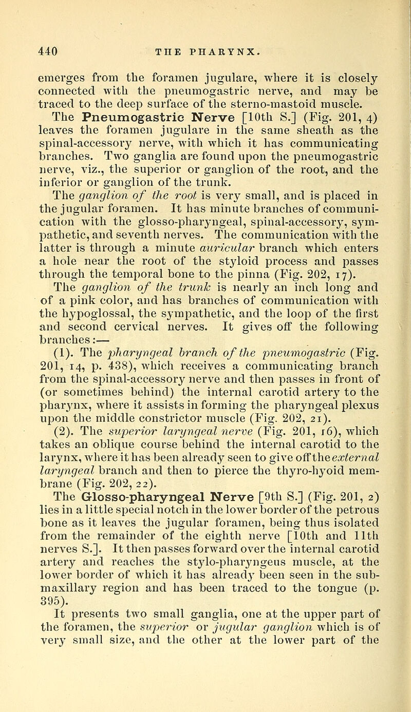 emerges from the foramen jugulare, where it is closely connected with the pneumogastric nei've, and may be traced to the deep surface of the sterno-mastoid muscle. The Pneumogastric Nerve [10th S.] (Fig. 201, 4) leaves the foramen jugulare in the same sheath as the spinal-accessory nerve, with which it has communicating branches. Two ganglia are found upon the pneumogastric nerve, viz., the superior or ganglion of the root, and the inferior or ganglion of the trunk. The ganglion of the root is very small, and is placed in the jugular foramen. It has minute branches of communi- cation with the glosso-pharyngeal, spinal-accessory, sj'm- pathetic, and seventh nerves. The communication with the latter is through a minute auricular branch which enters a hole near the root of the styloid process and passes through the temporal bone to the pinna (Fig. 202, 17). The ganglion of the trunk is nearly an inch long and of a pink color, and has branches of communication with the hypoglossal, the sympathetic, and the loop of the first and second cervical nerves. It gives off the following branches:— (1). The pharyngeal branch of the pneumogastric (Fig. 201, 14, p. 438), which receives a communicating branch from the spinal-accessory nerve and then passes in front of (or sometimes behind) the internal carotid artery to the pharynx, where it assists in forming the pharyngeal plexus upon the middle constrictor muscle (Fig. 202, 21). (2). The superior laryngeal nei^ve (Fig. 201, r6), which takes an oblique course behind the internal carotid to the larynx, where it has been already seen to give ofUhe external laryngeal branch and then to pierce the thyro-hyoid mem- brane (Fig. 202, 22). The Glosso-pharyngeal Nerve [9th S.] (Fig. 201, 2) lies in a little special notch in the lower border of the petrous bone as it leaves the jugular foramen, being thus isolated from the remainder of the eighth nerve [10th and 11th nerves S.]. It then passes forward over the internal carotid artery and reaches the stjdo-pharyngeus muscle, at the lower border of which it has already been seen in the sub- maxillary region and has been traced to the tongue (p. 395). It presents two small ganglia, one at the upper part of the foramen, the supei'ior or jugular ganglion which is of very small size, and the other at the lower part of the