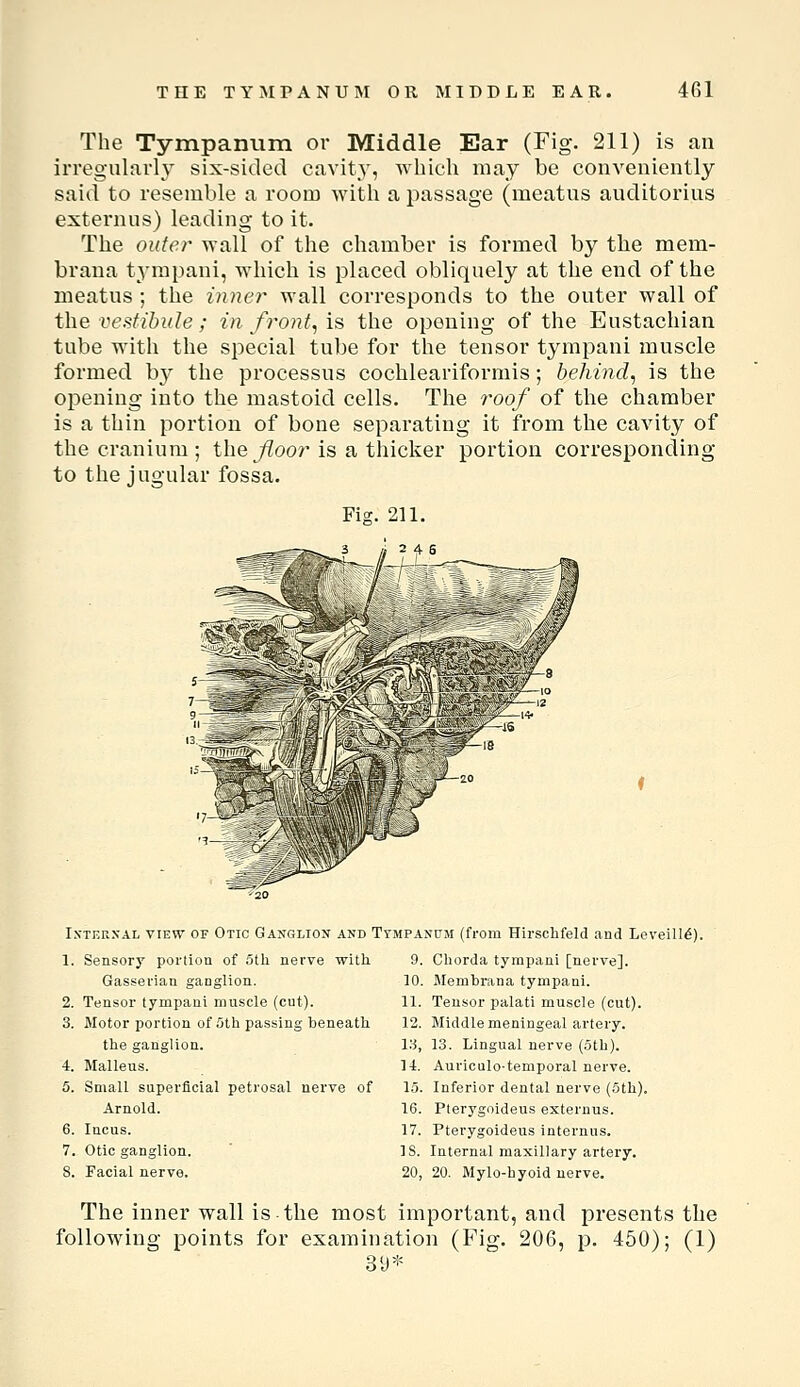 The Tympanum or Middle Ear (Fig. 211) is an irregularly six-sided cavity, which may be conveniently said to resemble a room with a passage (meatus auditorius externus) leading to it. The outer wall of the chamber is formed by the mem- brana tympani, which is placed obliquely at the end of the meatus ; the inner wall corresponds to the outer wall of the vestibule ; in front, is the opening of the Eustachian tube with the special tube for the tensor tympani muscle formed by the processus cochleariformis; behind, is the opening into the mastoid cells. The roof of the chamber is a thin portion of bone separating it from the cavity of the cranium ; the ^oor is a thicker portion corresponding to the jugular fossa. Fig. 211. IxTEEXAL VIEW OF Otic GANGLION AKD TrMPANtJM (fi'om Hii'sclifeld and LeveilI6). 1. Sensory portion of oth nerve with Gasserian ganglion. 2. Tensor tympani muscle (cut). 3. Motor portion of 5th passing beneath the ganglion. 4. Malleus. 5. Small superficial petrosal nerve of Arnold. 6. Incus. 7. Otic ganglion. 8. Facial nerve. 9. Chorda tympani [nerve]. 10. Membrana tympani. 11. Tensor palati muscle (cut). 12. Middle meningeal artery. 13. 13. Lingual nerve (5th). l-t. Auriculotemporal nerve. 15. Inferior dental nerve (5th). 16. Pterygoideus externus. 17. Pterygoideus internus. IS. Internal maxillary artery. 20, 20. Mylo-hyoid uerve. The inner wall is the most important, and presents the following points for examination (Pig. 206, p. 450); (1) 3y*