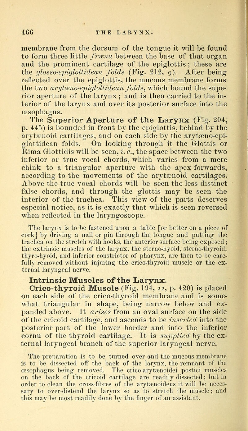 membrane from the dorsum of the tongue it will be found to form three little frsena between the base of that organ and the prominent cartilage of the epiglottis; these are the glosso-epiglottidean folds (Fig. 212, 9). After being reflected over the epiglottis, the mucous membrane forms the two arytseno-epiglottidean folds^ which bound the supe- rior aperture of the larynx; and is then carried to the in- terior of the larynx and over its posterior surface into the oesophagus. The Superior Aperture of the Larynx (Fig. 204, p. 445) is bounded in front by the epiglottis, behind by the arytsenoid cartilages, and on each side by the arytaeno-epi- glottidean folds. On looking through it the Glottis or Rima Glottidis will be seen, i. e., the space between the two inferior or true vocal chords, which varies from a mere chink to a triangular aperture with the apex forwards, according to the movements of the aryteenoid cartilages. Above the true vocal chords will be seen the less distinct false chords, and through the glottis may be seen the interior of the trachea. This view of the parts deserves especial notice, as it is exactly that which is seen reversed when reflected in the laryngoscope. The larynx is to be fastened upon a table [or better on a piece of cork] by driving a nail or pin through the tongue and putting the trachea on the stretch with hooks, the anterior surface being exposed; the extrinsic muscles of the larynx, the sterno-hyoid, sterno-tliyroid, thyro-hyoid, and inferior constrictor of pharynx, ai'e then to be care- fully removed without injuring the crico-thyroid muscle or the ex- ternal laryngeal nerve. Intrinsic Muscles of the Larynx. Crico-thyroid Muscle (Fig. 194, 22, p. 420) is placed on each side of the crico-thyroid membrane and is some- what triangular in shape, being narrow below and ex- panded above. It arises from an oval surface on the side of the cricoid cartilage, and ascends to be inserted into the posterior part of the lower border and into the inferior cornu of the thyroid cartilage. It is supplied by the ex- ternal laryngeal branch of the superior laryngeal nerve. The preparation is to be turned over and the mucous membrane is to be dissected off the back of the larynx, the remnant of the oesophagus being removed. The crico-arytenoidei postici muscles on the back of the cricoid cartilage are readily dissected; but in order to clean the cross-fibres of the arytsenoideus it will be neces- sary to over-distend the larynx so as to stretch the muscle; and this may be most readily done by the finger of an assistant.