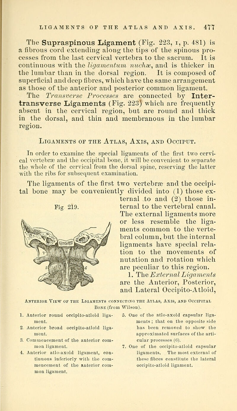 The Supraspinous Ligament (Fig. 223, i, p. 481) is n fibrous cord extending along the tips of tlie spinous pro- cesses from the last cervical vertebra to the sacrum. It is continuous with the ligamentuvi nucJiae, and is thicker in the lumbar than in the dorsal region. It is composed of superficial and deep fibres, which have the same arrangement as those of the anterior and posterior common ligament. The Tray\sverse Processes are connected by Inter- transverse Ligaments (Fig. 223) which are frequently absent in the cervical region, but are round and thick in the dorsal, and thin and membranous in the lumbar reoion. Ligaments op the Atlas, Axis, and Occiput. In order to examine the special ligaments of the first two cervi- cal vertebrte and the occipital bone, it will be convenient to separate the whole of the cervical from the dorsal spine, reserving the latter with the ribs for subsequent examination. The ligaments of the first two vertebra and the occipi- tal bone may be conveniently divided into (1) those ex- ternal to and (2) those in- Fig 219. ternal to the vertebral canal. The external ligaments more or less resemble the liga- ments common to the verte- bral column, but the internal ligaments have special rela- tion to the movements of nutation and rotation which are peculiar to this region. 1. The External Ligaments are the Anterior, Posterior, and Lateral Occipito-Atloid, Anterior View of the Ligaments connecting the Atlas, Axis, and Occipital Bone (from Wilson). 5. Due of the atlo-axoid capsular liga- ments ; tliat on the opposite side has been removed to show the approximated surfaces of the arti- cular processes (6). 7. Cue of the occipito-atloid capsular ligaments. The most external of these fibres constitute the lateral occipito-atloid ligament. 1. Anterior round occipito-atloid liga- ment. 2. Anterior broad occipito-atloid liga- ment. 3. Commencement of the anterior com- mon ligament. 4. Anterior atlo-axoid ligament, con- tinuous inferiorly with the com- mencement of the anterior com- mon ligament.