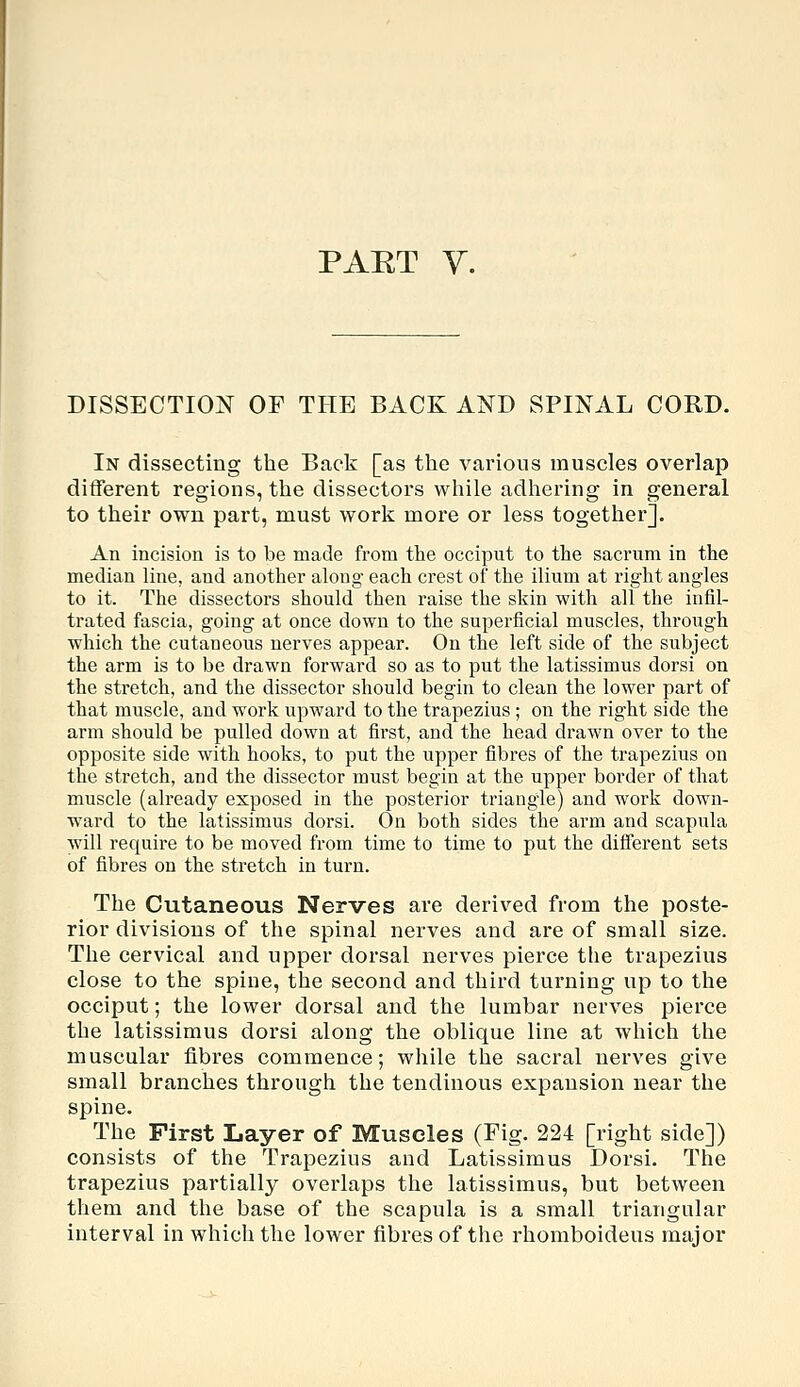 PAET y. DISSECTION OF THE BACK AND SPINAL CORD. In dissecting the Back [as the various muscles overlap different regions, the dissectors while adhering in general to their own part, must work more or less together]. An incision is to be made from the occiput to the sacrum in the median line, and another along each crest of the ilium at right angles to it. The dissectors should then raise the skin with all the infil- trated fascia, going at once down to the superficial muscles, through which the cutaneous nerves appear. On the left side of the subject the arm is to be drawn forward so as to put the latissimus dorsi on the stretch, and the dissector should begin to clean the lower part of that muscle, and work upward to the trapezius; on the right side the arm should be pulled down at first, and the head drawn over to the opposite side with hooks, to put the upper fibres of the trapezius on the stretch, and the dissector must begin at the upper border of that muscle (already exposed in the posterior triangle) and work down- ward to the latissimus dorsi. On both sides the arm and scapula will require to be moved from time to time to put the different sets of fibres on the stretch in turn. The Cutaneous Nerves are derived from the poste- rior divisions of the spinal nerves and are of small size. The cervical and upper dorsal nerves pierce the trapezius close to the spine, the second and third turning up to the occiput; the lower dorsal and the lumbar nerves pierce the latissimus dorsi along the oblique line at which the muscular fibres commence; while the sacral nerves give small branches through the tendinous expansion near the spine. The First Layer of Muscles (Fig. 224 [right side]) consists of the Trapezius and Latissimus Dorsi. The trapezius partially overlaps the latissimus, but between them and the base of the scapula is a small triangular interval in which the lower fibres of the rhomboideus major