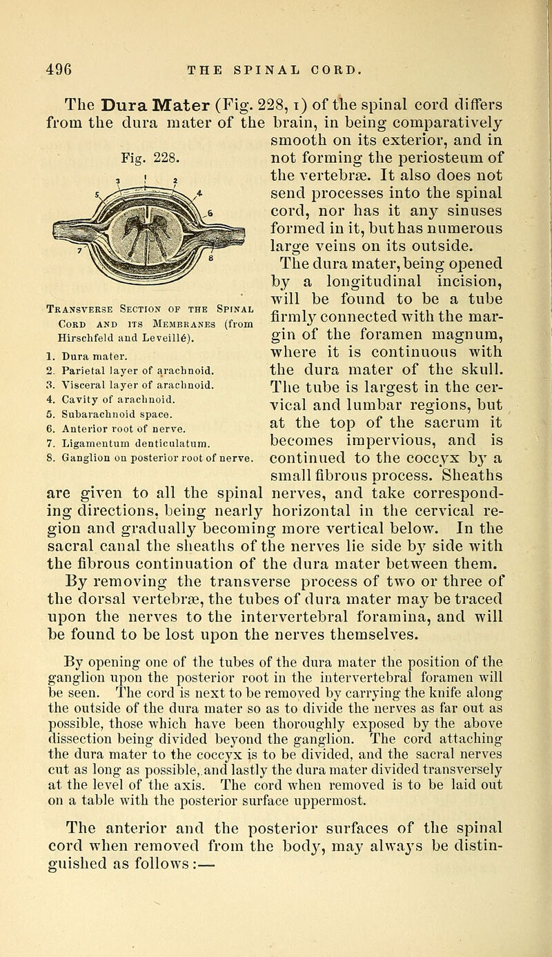 Fig. 228. Tkansveese Section of the Spinal Cord and its Membranes (from Hirschfeld and Leveill6). 1. Dura mater. 2. Parietal layer of arachnoid. 3. Visceral layer of arachnoid. 4. Cavity of arachnoid. 5. Subarachnoid space. 6. Anterior root of nerve. 7. Ligamentum denticulatura. 8. Ganglion on posterior root of nerve. The Dura Mater (Fig. 228, i) of the spinal cord differs from the dura mater of the brain, in being comparatively smooth on its exterior, and in not forming the periosteum of the vertebrae. It also does not send processes into the spinal cord, nor has it any sinuses formed in it, but has numerous large veins on its outside. The dura mater, being opened by a longitudinal incision, will be found to be a tube firmly connected with the mar- gin of the foramen magnum, where it is continuous with the dura mater of the skull. The tube is largest in the cer- vical and lumbar regions, but at the top of the sacrum it becomes impervious, and is continued to the coccyx b}' a small fibrous process. Sheaths are given to all the spinal nerves, and take correspond- ing directions, being nearly horizontal in the cervical re- gion and gradually becoming more vertical below. In the sacral canal the sheaths of the nerves He side bj^ side with the fibrous continuation of the dura mater between them. By removing the transverse process of two or three of the dorsal vertebrae, the tubes of dura mater may be traced upon the nerves to the intervertebral foramina, and will be found to be lost upon the nerves themselves. By opening one of the tubes of the dura mater the position of the ganglion upon the posterior root in the intervertebral foramen will be seen. The cord is next to be removed by carrying the knife along the outside of the dura mater so as to divide the nerves as far out as possible, those which have been thoroughly exposed by the above dissection being divided beyond the ganglion. The cord attaching the dura mater to the coccyx is to be divided, and the sacral nerves cut as long as possible,.and lastly the dura mater divided transversely at the level of the axis. The cord when removed is to be laid out on a table with the posterior surface uppermost. The anterior and the posterior surfaces of the spinal cord when removed from the bod}^, may always be distin- guished as follows:—