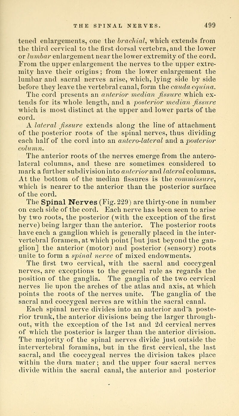 tened enlargements, one the bracJiiaJ, which extends from the third cervical to the first dorsal vertebra, and the lower or lumbar enlargement near the lower extremity of the cord. From the upper enlargement the nerves to the upper extre- mity have their origins; from the lower enlargement the lumbar and sacral nerves arise, which, lying side by side before they leave the vertebral canal, form the cauda equina. The cord presents an anterior median fissure which ex- tends for its whole length, and a posterior median fissure which is most distinct at the upper and lower parts of the cord. A lateral fissure extends along the line of attachment of the posterior roots of the spinal nerves, thus dividing each half of the cord into an antero-lateral and a posterior column. The anterior roots of the nerves emerge from the antero- lateral columns, and these are sometimes considered to mark a further subdivision into anterior a.\\d lateral columns. At the bottom of the median fissures is the commissure, which is nearer to the anterior than the posterior surface of the cord. The Spinal Nerves (Fig. 229) are thirty-one in number on each side of the cord. Each nerve has been seen to arise by two roots, the posterior (with the exception of the first nerve) being larger than the anterior. The posterior roots have each a ganglion which is generally placed in the inter- vertebral foramen, at which point [but just beyond the gan- glion] the anterior (motor) and posterior (sensory) roots unite to form a spinal nerve of mixed endowments. The first two cervical, with the sacral and coccj^geal nerves, are exceptions to the general rule as regards the position of the ganglia. The ganglia of the two cervical nerves lie upon the arches of the atlas and axis, at which points the roots of the nerves unite. The ganglia of the sacral and coccygeal nerves are within the sacral canal. Each spinal nerve divides into an anterior anda poste- rior trunk, the anterior divisions being the larger through- out, with the exception of the 1st and 2d cervical nerves of which the posterior is larger than the anterior division. The majority of the spinal nerves divide just outside the intervertebral foramina, but in the first cervical, the last sacral, and the coccj'geal nerves the division takes place within the dura mater; and the upper four sacral nerves divide within the sacral canal, the anterior and posterior