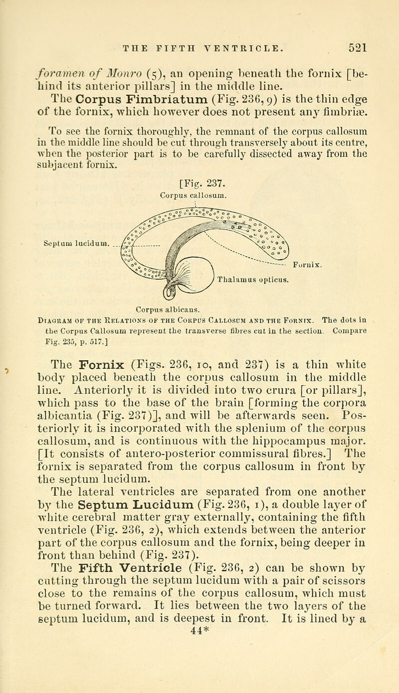 foramen of Monro (5), an opening beneath the fornix [be- hind its anterior pillars] in the middle line. The Corpus Fimbriatum (Fig. 236,9) is the thin edge of the fornix, which however does not present any fimbriiB. To see tlie fornix thoroughly, the remnant of the corpus callosum in the middle line should be cut through transversely about its centre, when the posterior part is to be carefully dissected away from the subjacent fornix. [Fig. 237. Corpus callosum. Septum lucidum. ...A?/..._ Mw^ '-- ^,00^°°^ ^^^^^^^ J Thalamus opticus. Corpus albicans. Diagram of the Relations of the Coupus Callosdm and the Fornix. The dots in the Corpus Callosum represent the transverse fibres cut in the sectioa. Compare Fig. 235, p. 517.] The Fornix (Figs. 236, lo, and 237) is a thin white body placed beneath the corpus callosum in the middle line. Anteriorly it is divided into two crura [or pillars], which pass to the base of the brain [forming the corpora albicantia (Fig. 237)], and will be afterwards seen. Pos- teriorly it is incorporated with the splenium of the corpus callosum, and is continuous with the hippocampus major. [It consists of autero-posterior commissural fibres.] The fornix is separated from the corpus callosum in front by the septum lucidum. The lateral ventricles are separated from one another b,y the Septum Lucidum (Fig. 236, i), a double layer of white cerebral matter gray externally, containing the fifth ventricle (Fig. 236, 2), which extends between the anterior part of the corpus callosum and the fornix, being deeper in front than behind (Fig. 237). The Fifth Ventricle (Fig. 236, 2) can be shown by cutting through the septum lucidum with a pair of scissors close to the remains of the corpus callosum, which must be turned forward. It lies between the two layers of the septum lucidum, and is deepest in front. It is lined by a 44*