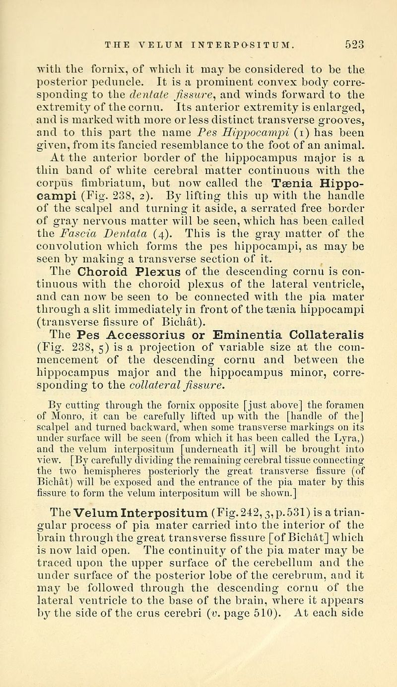 with the fornix, of which it maj^ be considered to be the posterior peduncle. It is Ji prominent convex body corre- sponding to the dentate fissure, and winds forward to the extremitj' of the cornu. Its anterior extremity is enlarged, and is marked with more or less distinct transverse grooves, and to this part the name Pes Hippocampi (i) has been given, from its fancied resemblance to the foot of an animal. At the anterior border of the hippocampus major is a thin band of white cerebral matter continuous w4th the corpus fimbriatum, but now called the Taenia Hippo- campi (Fig. 238, 2). By lifting this up with the handle of the scalpel and turning it aside, a serrated free border of gray nervous matter will be seen, which has been called the Fascia Dentata (4). This is the gray matter of the convolution which forms the pes hippocampi, as may be seen by making a transverse section of it. The Choroid Plexus of the descending cornu is con- tinuous with the choroid plexus of the lateral ventricle, and can now be seen to be connected with the pia mater through a slit immediately in front of the taenia hippocampi (transverse fissure of Bichat). The Pes Aecessorius or Eminentia Collateralis (Fig. 238, 5) is a projection of variable size at the com- mencement of the descending cornu and between the hippocampus major and the hippocampus minor, corre- sponding to the collateral fissure. By cutting through the fornix opposite [just above] the foramen of Monro, it can be carefully lifted up with the [handle of the] scalpel and turned backward, when some transverse markings on its under surface will be seen (from which it has been called the Lyra,) and the velum interpositum [underneath it] will be brought into view. [By carefully dividing the remaining cerebral tissue connecting the two hemispheres posterioi'ly the great transverse fissure (of Bichat) will be exposed and the entrance of the pia mater by this fissure to form the velum interpositum will be shown.] The Velum Interpositum (Fig. 242,3, p. 531) is a trian- gular process of pia mater carried into the interior of the brain through the great transverse fissure [of Bichat] which is now laid open. The continuity of the pia mater may be traced upon the upper surface of the cerebellum and the under surface of the posterior lobe of the cerebrum, and it may be followed through the descending cornu of the lateral ventricle to the base of the brain, where it appears by the side of the crus cerebri (u. page 510). At each side