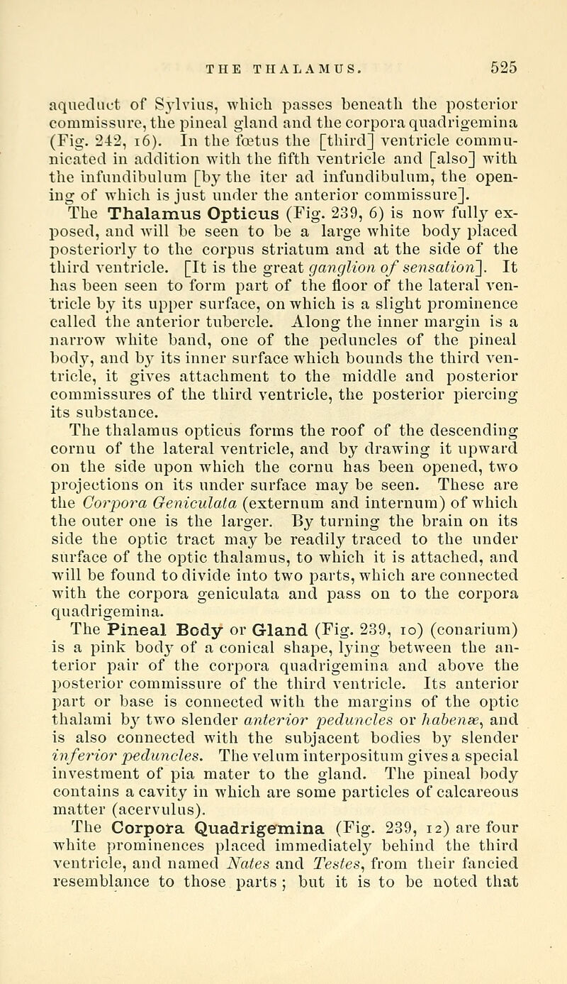 aquecliK't of S^'lvius, which passes beneath the posterior commissure, the pineal gland and the corpora quadrigemina (Fig. 242, 16). In the tcetus the [third] ventricle commu- nicated in addition with the fifth ventricle and [also] with the infundibulum [by the iter ad infundibulum, the open- ing of which is just under the anterior commissure]. The Thalamus Opticus (Fig. 239, 6) is now fully ex- posed, and will be seen to be a lai'ge white body placed posteriorly to the corpus striatum and at the side of the third ventricle. [It is the great ganglion of sensation']. It has been seen to form part of the floor of the lateral ven- tricle by its upper surface, on which is a slight prominence called the anterior tubercle. Along the inner margin is a narrow white band, one of the peduncles of the pineal bod}^, and b}^ its inner surface which bounds the third ven- tricle, it gives attachment to the middle and posterior commissures of the third ventricle, the posterior piercing its substance. The thalamus opticus forms the roof of the descending cornu of the lateral ventricle, and by drawing it upward on the side upon which the cornu has been opened, two projections on its under surface may be seen. These are the Corpora Geniculata (externum and internum) of which the outer one is the larger. By turning the brain on its side the optic tract may be readily traced to the under surface of the optic thalamus, to which it is attached, and will be found to divide into two parts, which are connected with the corpora geniculata and pass on to the corpora quadrigemina. The Pineal Body or Gland (Fig. 239, lo) (conarium) is a pink bod}^ of a conical shape, lying between the an- terior pair of the corpora quadrigemina and above the posterior commissure of the third ventricle. Its anterior part or base is connected with the margins of the optic thalami b}' two slender anteiHor peduncles or hahense^ and is also connected with the subjacent bodies by slender inferior peduncles. The velum interpositum gives a special investment of pia mater to the gland. The pineal body contains a cavity in which are some particles of calcareous matter (acervulus). The Corpol-a Quadrigemina (Fig. 239, 12) are four white prominences placed immediately behind the third ventricle, and named Nates and Testes, from their fancied resemblance to those parts ; but it is to be noted that