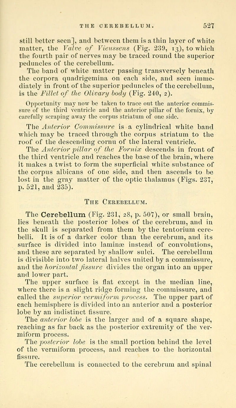 THE CEREBELLUM. 52t still better seen], and between them is a thin layer of white matter, the Valve of Vieussens (Fig. 239, 13), to which the fourth pair of nerA^es may be traced round the superior peduncles of the cerebellum. The band of white matter passing transversely beneath the corpora quadrigemina on each side, and seen imme- diatelj^ in front of the superior peduncles of the cerebellum, is the FiUef of the Olimry body (Fig. 240, 2). Opportunity may now be taken to trace out the anterior commis- sure of the third ventricle and the anterior pillar of the fornix, by carefully scraping away the corpus striatum of one side. The Anterior Commissure is a cylindrical white band which may be traced through the corpus striatum to the roof of the descending cornu of the lateral ventricle. The Anterior pillar of the Fornix descends in front of the third ventricle and reaches the base of the brain, where it makes a twist to form the superficial white substance of the corpus albicans of one side, and then ascends to be lost in the gray matter of the optic thalamus (Figs. 237, p. 521, and 235). The Cerebellum. The Ceretellum (Fig. 231, 28, p. 501), or small brain, lies beneath the posterior lobes of the cerebrum, and in the skull is separated from them by the tentorium cere- belli. It is of a darker color than the cerebrum, and its surface is divided into laminae instead of convolutions, and these are separated by shallow sulci. The cerebellum is divisible into two lateral halves united by a commissure, and the horizontal fissure divides the organ into an upper and lower part. The upper surface is flat except in the median line, where there is a slight ridge forming the commissure, and called the superior verr^iiform process. The upper part of each hemisphere is divided into an anterior and a posterior lobe by an indistinct fissure. The anterior lohe is the larger and of a square shape, reaching as far back as the posterior extremity of the ver- miform process. The posterior lohe is the small portion behind the level of the vermiform process, and reaches to the horizontal fissure. The cerebellum is connected to the cerebrum and spinal