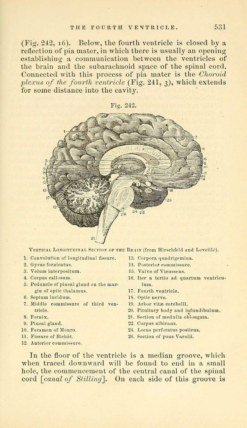 (Fig. 242, 16). Below, the fonrtli ventricle is closed by a reflection of pia mater, in which there is usually an opening establishing a communication between the ventricles of the brain and the subarachnoid space of the spinal cord. Connected with this process of pia mater is the Choroid plexus of the fourth ventricle (Fig. 241, 3), which extends for some distance into the cavity. Fm. 242. Vertical LoxaiTtJDiN'AL Seci'ion op the Bra 1. Convolution of longitudiaal fissure. 13. 2. Gyrus fornicatus. 14. 3. Velum interpositum. 15. 4. Corpus callosura. 16. 5. Peduncle of pineal gland on the mar- gin of optic thalamus. 17. 6. Septum lueidum. IS. 7. Middle commissure of third ven- 19. tricle. 20. 8. Fornix. 21. 9. Pineal gland. 22. 10. Foramen of Monro. 21. 11. Fissure of Bichat. 26. 12. Anterior commissure. IN (from Hirschfeld and Leveille). Corpora quadrigemina. Posterior commissure. Valve of Vieussens. Iter a tertio ad quartum ventricu- lum. Fourth ventricle. Optic nerve. Ai'bor vitiB cerehelli. Pituitary body and infandibulum. Section of medulla oblongata. Corpus albicans. Locus perforatus posticus. Section of pons Varolii. In the floor of the ventricle is a median groove, which when traced downward will be found to end in a small hole, the commencement of the central canal of the spinal cord \_ca7ial of Stilling^. On each side of this groove is