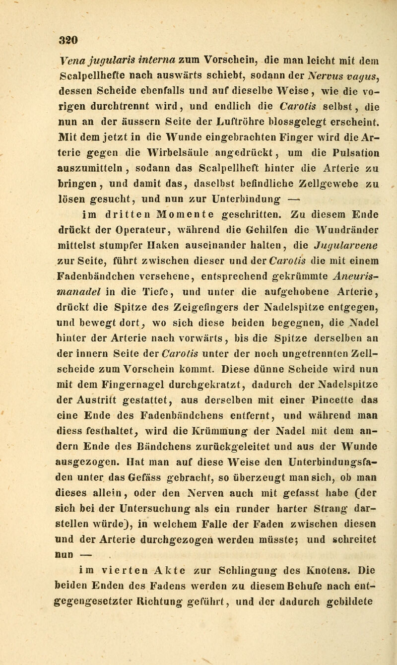 Vena jugularis interna zum Vorschein, die man leicht mit dem Scalpellhefte nach auswärts schiebt, sodann der Nervus vayus, dessen Scheide ehenfalls und auf dieselbe Weise, wie die vo- rigen durchtrennt wird, und endlich die Carotis selbst, die nun an der äussern Seite der Luftröhre blossgelegt erscheint. Mit dem jetzt in die Wunde eingebrachten Finger wird die Ar- terie ge^en die Wirbelsäule angedrückt, um die Pulsation auszumitteln , sodann das Scalpellheft hinter die Arterie zu bringen, und damit das, daselbst befindliche Zellgewebe zu lösen gesucht, und nun zur Unterbindung —- im dritten Momente geschritten. Zu diesem Ende drückt der Operateur, während die Gehilfen die Wundränder mittelst stumpfer Haken auseinander halten, die Jugularvene zur Seite, führt zwischen dieser und der Carotis die mit einem Fadenbändchen versehene, entsprechend gekrümmte Aneuris- manadel in die Tiefe, und unter die aufgehobene Arterie, drückt die Spitze des Zeigefingers der Nadelspitze entgegen, und bewegt dort^ wo sich diese beiden begegnen, die Nadel hinter der Arterie nach vorwärts, bis die Spitze derselben an der Innern Seite der Carotis unter der noch ungetrennten Zell- scheide zum Vorschein kommt. Diese dünne Scheide wird nun mit dem Fingernagel durchgekratzt, dadurch der Nadelspitze der Austritt gestattet, aus derselben mit einer Pincette das eine Ende des Fadenbändchens entfernt, und während man diess festhaltet^ wird die Krümmiung der Nadel mit dem an- dern Ende des Bändchens zurückgeleitet und aus der Wunde ausgezogen. Hat man auf diese Weise den Unterbindungsfa- den unter das Gefäss gebracht, so überzeugt man sich, ob man dieses allein, oder den Nerven auch mit gefasst habe (der sich bei der Untersuchung als ein runder harter Strang dar- stellen würde), in welchem Falle der Faden zwischen diesen und der Arterie durchgezogen werden müsste; und schreitet nun — im vierten Akte zur Schlingung des Knoteng. Die beiden Enden des Fadens werden zu diesem Behufe nach ent- gegengesetzter Richtung geführt, und der dadurch gebildete