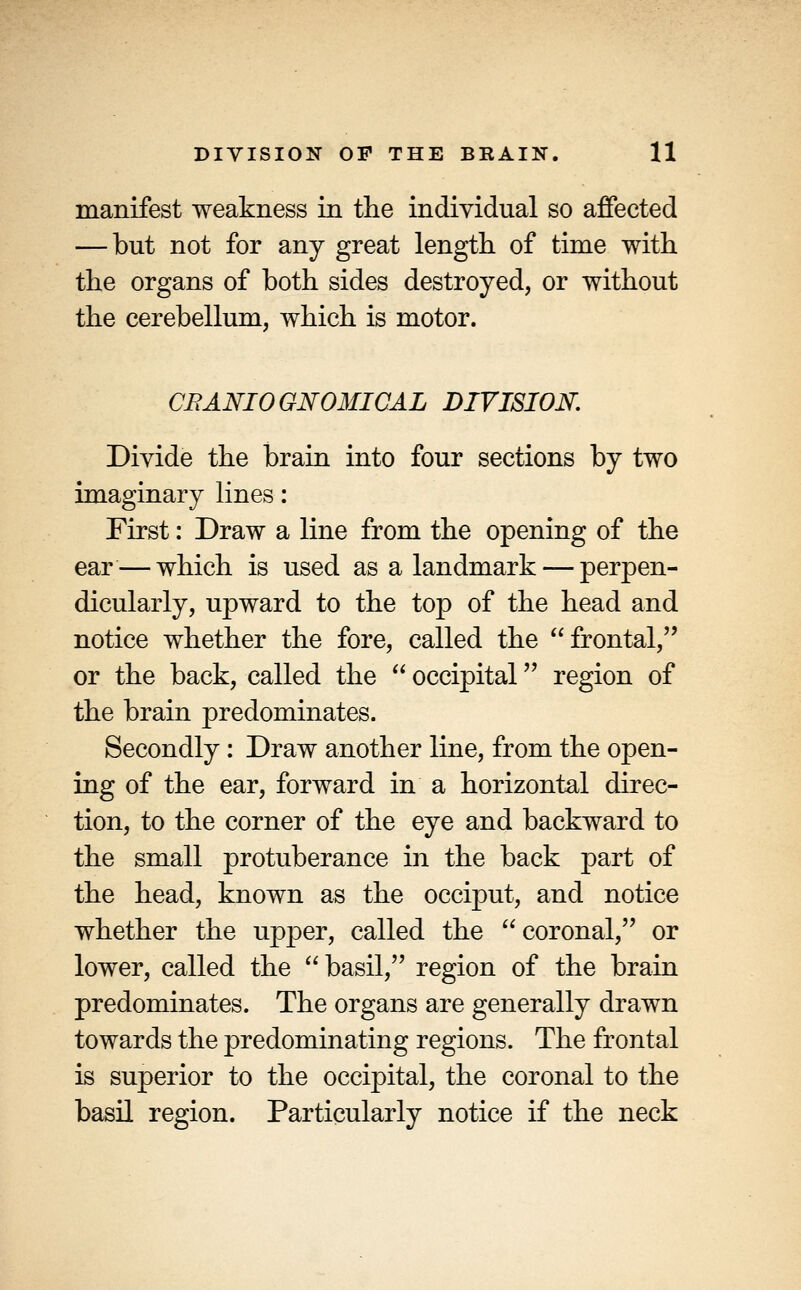 manifest weakness in the individual so affected — but not for any great length of time with the organs of both sides destroyed, or without the cerebellum, which is motor. CRANIO GNOMICAL DIVISION. Divide the brain into four sections by two imaginary lines: First: Draw a line from the opening of the ear — which is used as a landmark — perpen- dicularly, upward to the top of the head and notice whether the fore, called the frontal, or the back, called the  occipital region of the brain predominates. Secondly: Draw another line, from the open- ing of the ear, forward in a horizontal direc- tion, to the corner of the eye and backward to the small protuberance in the back part of the head, known as the occiput, and notice whether the upjDcr, called the  coronal, or lower, called the basil, region of the brain predominates. The organs are generally drawn towards the predominating regions. The frontal is superior to the occipital, the coronal to the basil region. Particularly notice if the neck