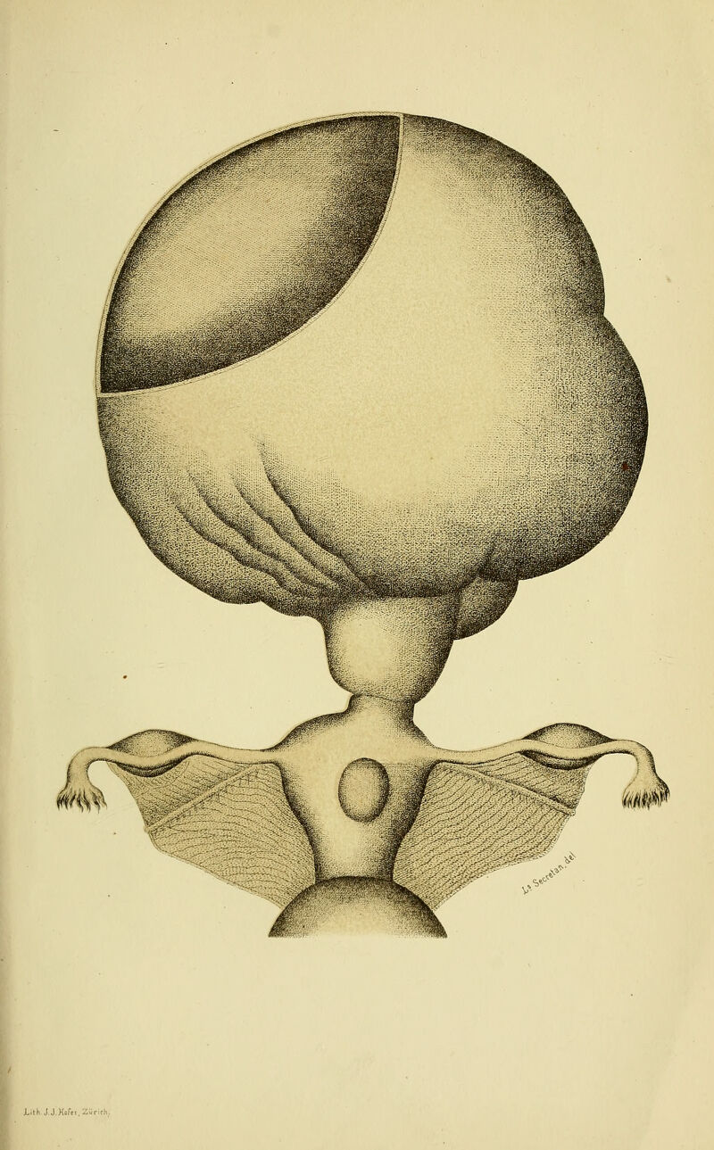 i.iHi.J.J.K.f.t,ZSrirh.